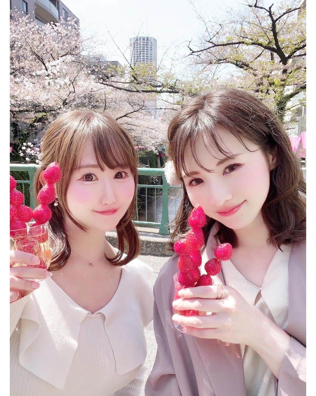吉田麻衣子さんのインスタグラム写真 - (吉田麻衣子Instagram)「まこちゃんと中目黒でお花見🌸🍡  @sushi_okada  さんの　いちご🍓シャンパン 美味しかった❤️🥹  ちなみに私はアルコール全く駄目なので ノンアルバージョン❤️ #中目黒 #鮨おかだ  #目黒 #花見 #🌸🍡 #いちごシャンパン #🍓🍾 #instahappy #instafollow  #instagood  #instalike  #model  #mercuryduo  #snidel  #cherryblossom  #meguro」4月4日 19時41分 - maiko.yoshida