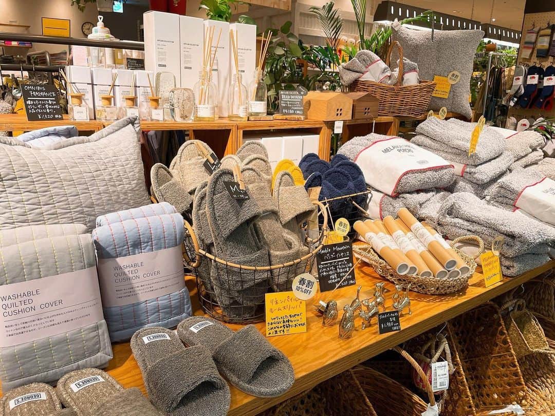 のインスタグラム：「＼春のマストバイアイテムが期間限定で10％OFF／ 収納やリビングアイテム、毎日の食卓を彩る器など、これからの暮らしに役立つアイテムがお買い得に。  春コーデに取り入れたいUSED Tシャツやデニム、植物も10%OFF！  おトクなこの機会をぜひご利用ください。  開催期間:4/9(日)まで  #georges #ジョージズ」