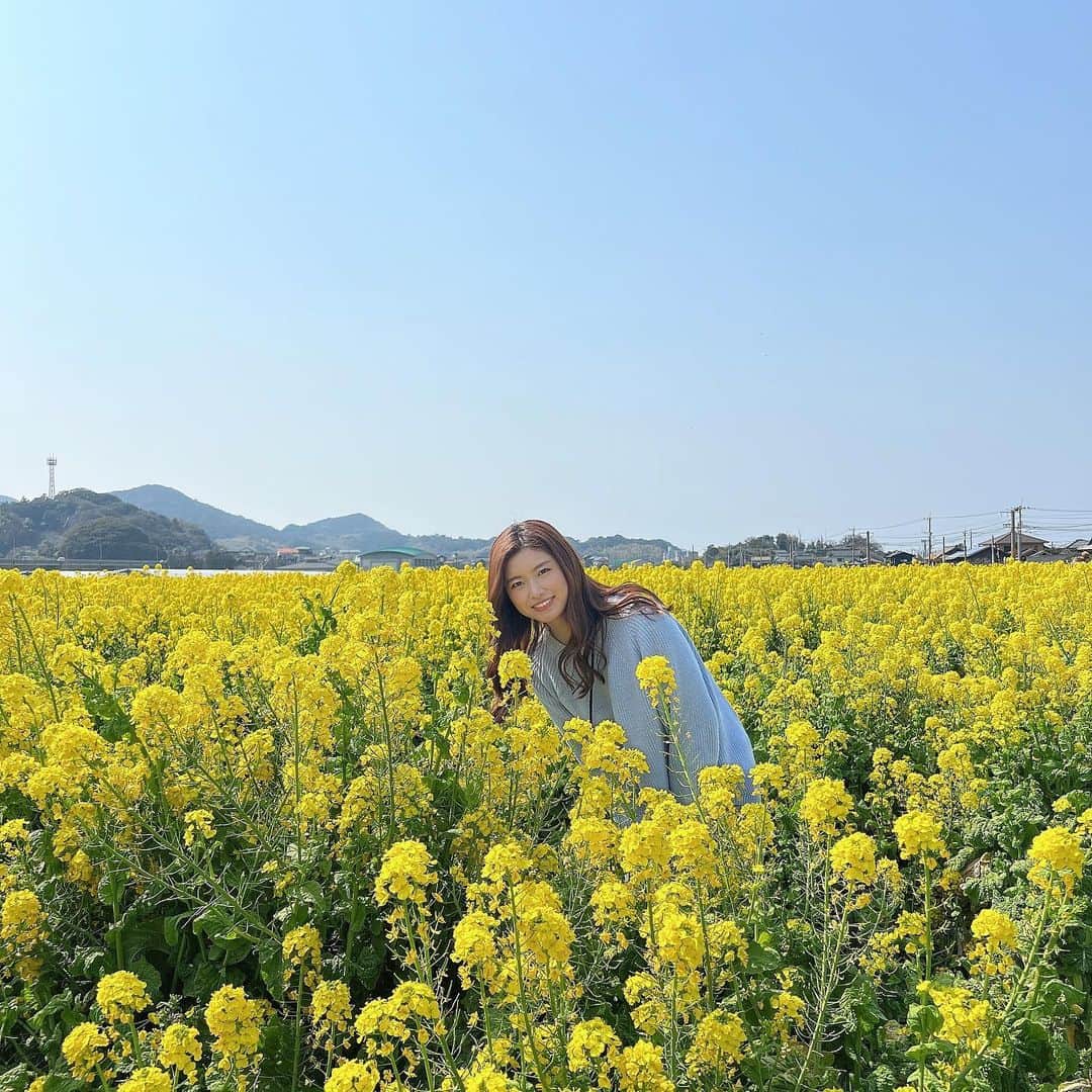 八軒あやねのインスタグラム：「お花畑大好き🌼 福岡に行った時の📸 福ふくの里という道の駅の横にある菜の花畑💐🌼  お支払いするとお花も持って帰れます😊  #福ふくの里　#糸島観光　#福岡旅行　#菜の花畑　#関西モデル　#糸島スポット」
