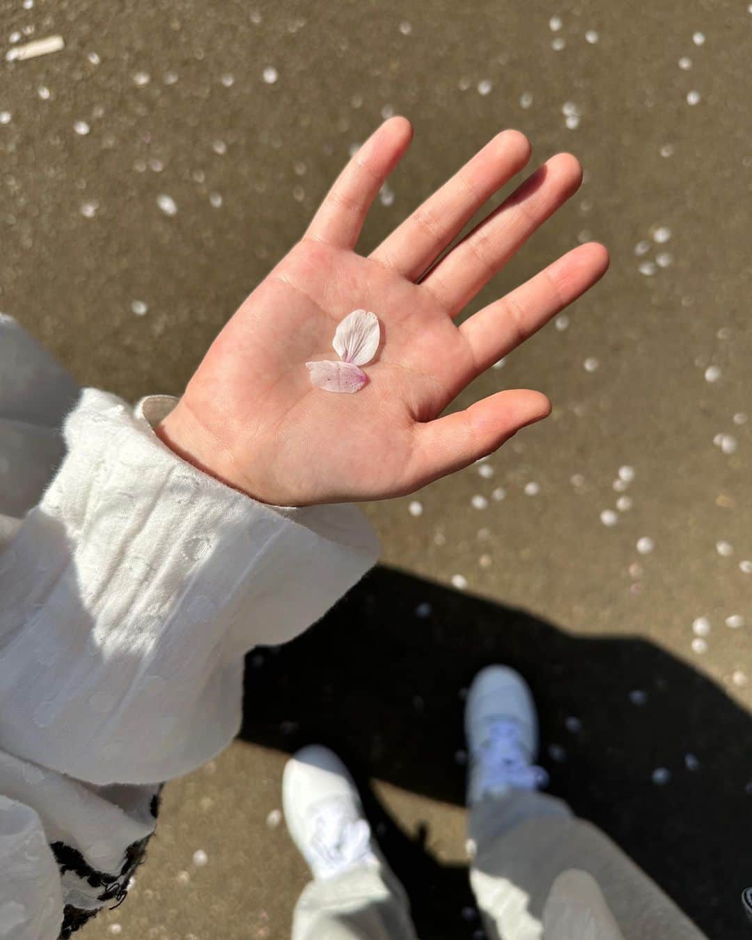 yuさんのインスタグラム写真 - (yuInstagram)「・ ・ 🌸🍡🌸 ・ だいぶ葉桜になってたけど 良いお天気だったのでお散歩🚶‍♀️ かわいいお団子食べてご満悦🫶🏻 しかしどすっぴんの顔が酷過ぎた😨 ・ ・ denim jk: #uniqlo shirt: #nae_bigovershirt pants: #handm shoes: #newbalance ・ ・ #coordinate#ootd#whatiwore #denimjacket#newbalance550 #153cm#153cmコーデ#お花見 #お団子#春コーデ#大人カジュアル #スニーカーコーデ#スウェットコーデ」4月4日 19時53分 - yu.rm