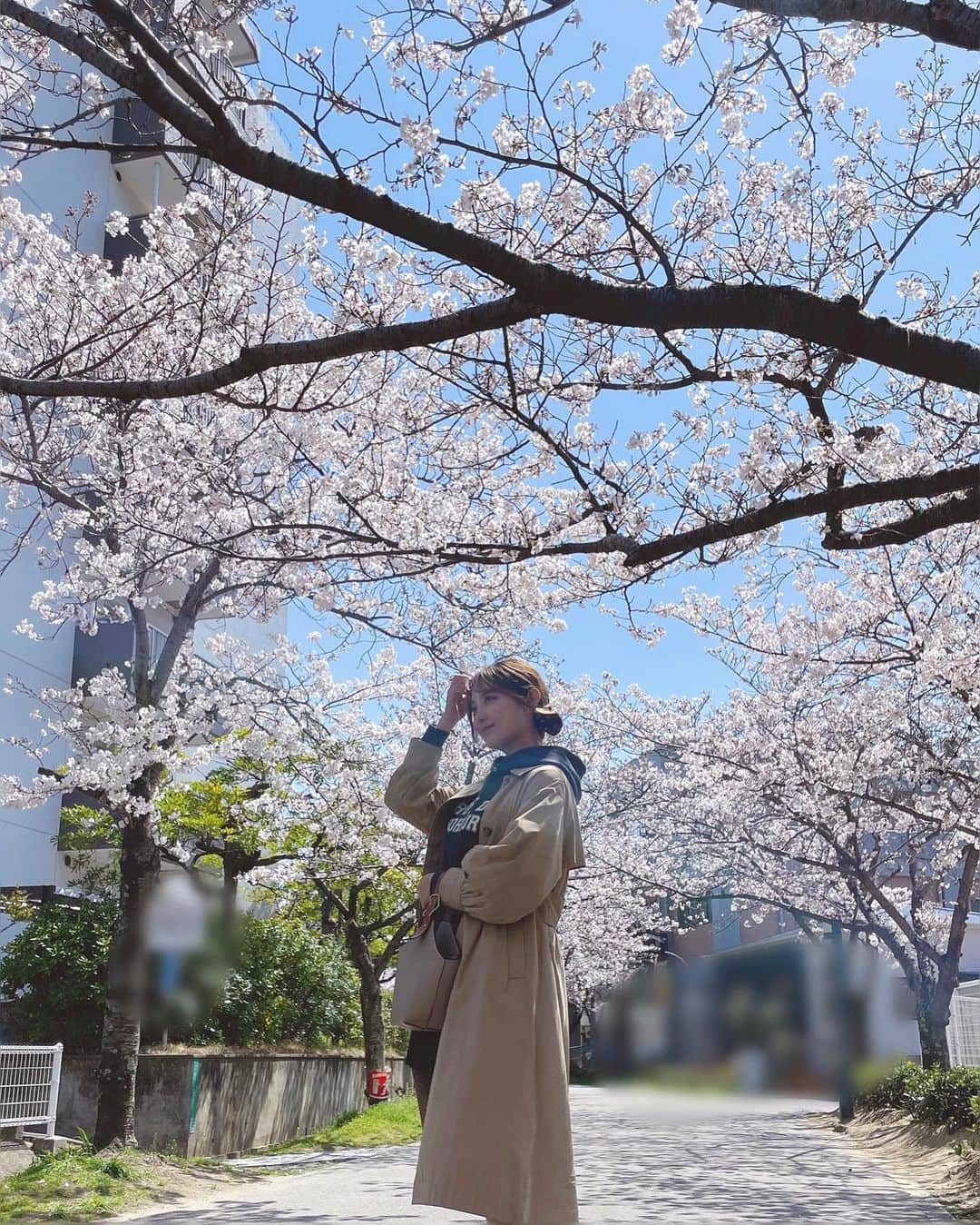 悠花のインスタグラム：「桜の季節もすぐに終わってしまいそうですね🥲🌸 ・ 皆さんお花見は出来ましたか?🌞」