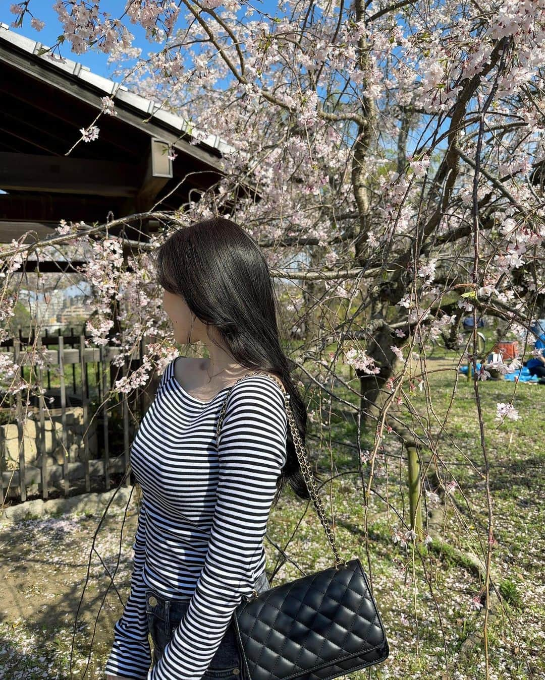 立木綾乃のインスタグラム：「ギリギリお花見できた！！ ほっぺにつけちゃったり😗🌸　  #福岡城さくらまつり #舞鶴公園 #立木fashion」