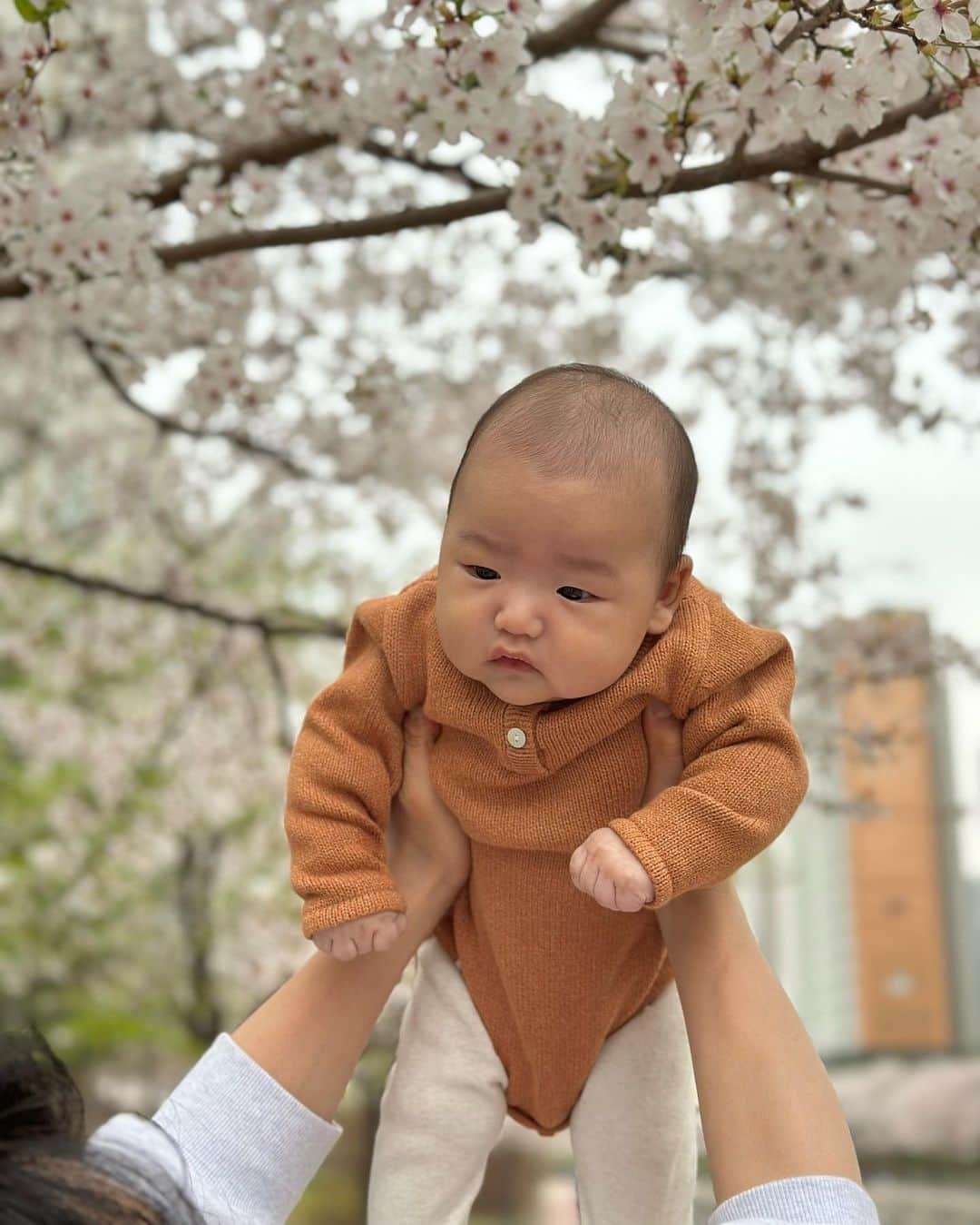 ソンシンさんのインスタグラム写真 - (ソンシンInstagram)「내일 비온다는 소식에 하원하고 후다닥 집앞마실! 작년에 잠실 갔다가 깔려죽을뻔해서 이번엔 집앞으로^^ㅋㅋㅋ  사실 이런 기념사진은 제가 찍고싶어 하는거같지만 오빠가 꼭 찍어야한다고 욕심냄 그치만 막상가면 오빠는 힘들어서 점점 어깨가 쳐지고 저는 점점 열정적인 스타일ㅋㅋㅋ  오늘도 열심히 세남자 찍사해주고 왔네요🌸🌸 그나저나 이준이 머리 잘랐는데 제 미용실력 어떤가요!ㅋㅋㅋ #나름만족중 #답정너」4月4日 20時32分 - sungshin_p