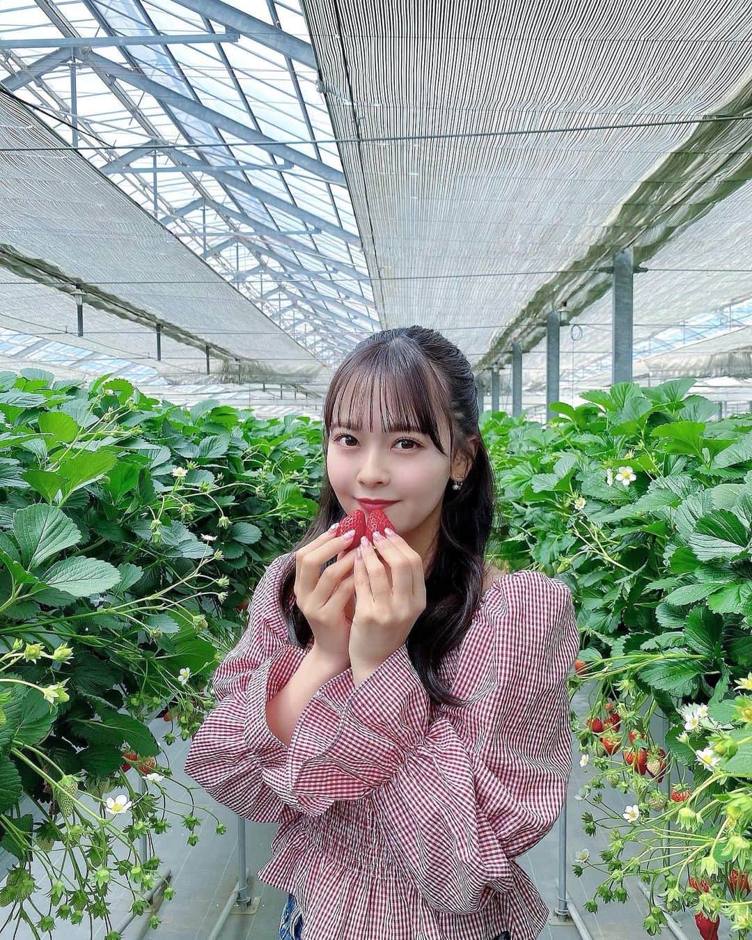 湯本亜美のインスタグラム：「ㅤㅤㅤいちご狩り🍓 蜂さんがたくさんお仕事してたよ🐝🍯」