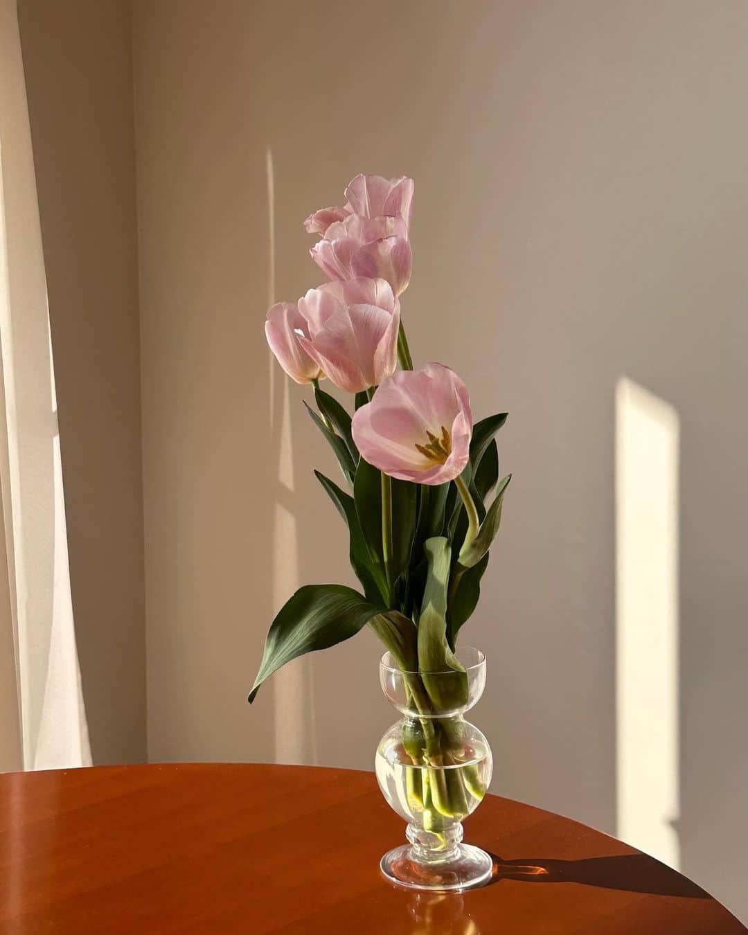 吉竹美聡のインスタグラム：「: 今の待ち受け🌷 同じ物事も多角的に見るとこんなに違うというか、見る角度を変えて捉える面白さを分かりやすく教えてくれた気がして🌷🫶🏻✨ 気持ちの良いお天気だったな〜🕊」