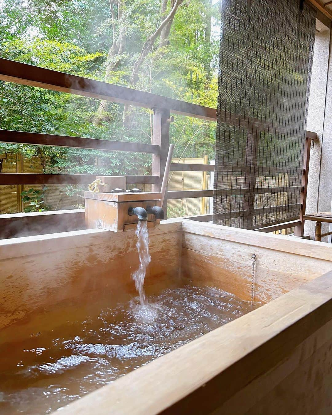 柳田菜月のインスタグラム：「箱根でのんびり♨️ . のんびり旅の写真をいくつか🤳 海鮮、ぶどうジュース、和食、桜に富士山と日本を満喫できた2日間！ やっぱり温泉は最高でした♨️ . #満喫旅 #のんびり休日  #箱根 #水の音 #露天風呂  #三河カフェ #桜 #富士山  #一時帰国満喫中 #ピコタンロック #初卸し  #hakone #onsen #fuji #japantravel」