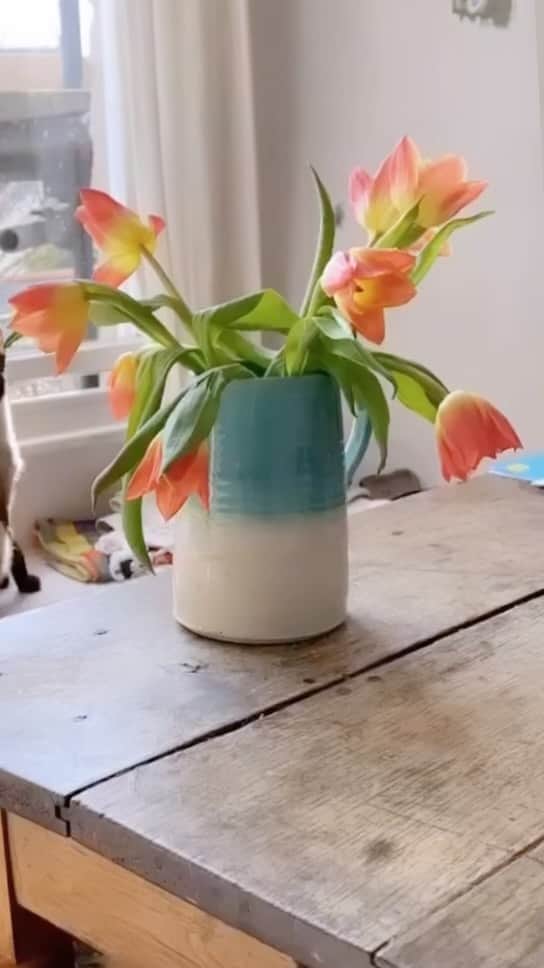 Tea and sittingのインスタグラム：「🌱♥️🧡💛💦」