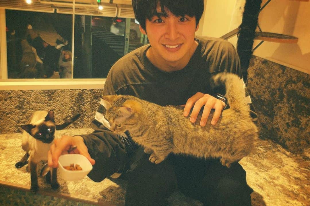 山下航平さんのインスタグラム写真 - (山下航平Instagram)「初めての猫カフェ もみくちゃにされる山下 猫カフェは餌を持てばモテモテになれる場所や」4月4日 20時49分 - kouhei_yamashita_official