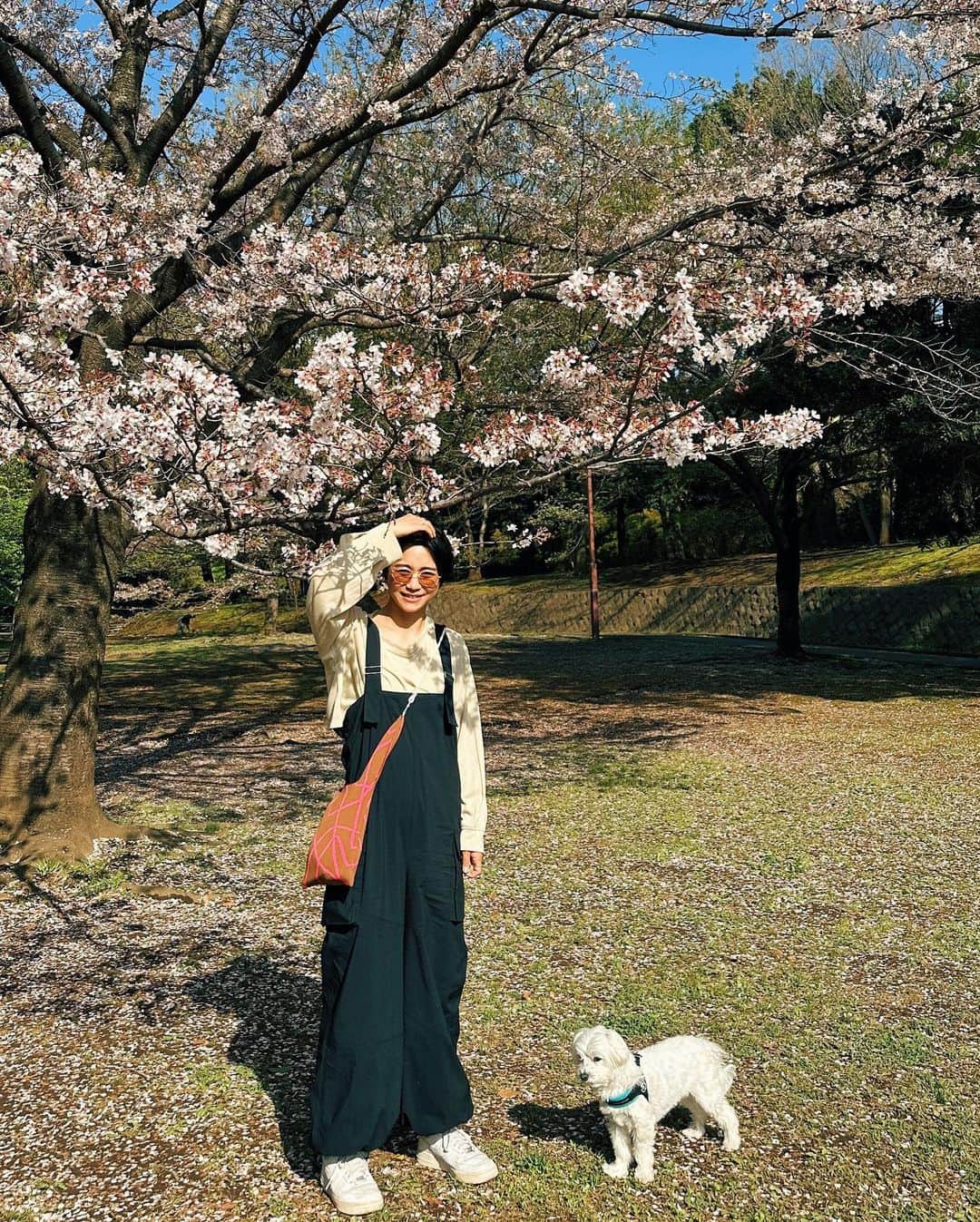 忍舞のインスタグラム：「公園でお花見🌸 動きやすいパンツで  気持ちいい日和でした。  #しのぶんコーデ #wom #wom0604 #beej」
