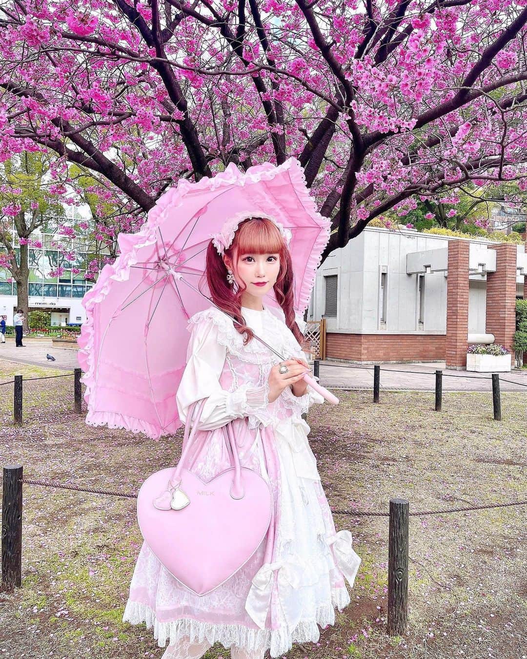 雨宮真梨子さんのインスタグラム写真 - (雨宮真梨子Instagram)「⁡ ⁡ 横浜公園の桜を見に行ってきました👒🌸 ⁡ 濃いピンク色の八重桜💗 とっても綺麗だった〜🌸🎀 ⁡ この前 @babythessbofficial さんで お迎えしたピンク色のバードケージアンブレラが とっても可愛くて既にお気に入り🌂💞 ⁡ ⁡ ⁡ ⁡ ⁡ #横浜公園 #横浜観光 #横浜デート #山下公園 #公園コーデ #公園フォト #桜 #お花見 #桜スポット #お花見コーデ #お花見スポット #八重桜 #お花見日和 #お花見🌸 #ポートレート #桜ポートレート #映えスポット #ピンクコーデ #lolita #lolitafashion #lolitadress #lolitastyle #sweetlolita #babythestarsshinebright #ベイビーザスターズシャインブライト #lolitagirl #kawaiigirl #kawaiifashion #ロリータ #ロリータファッション」4月4日 20時59分 - mariko_amemiya101