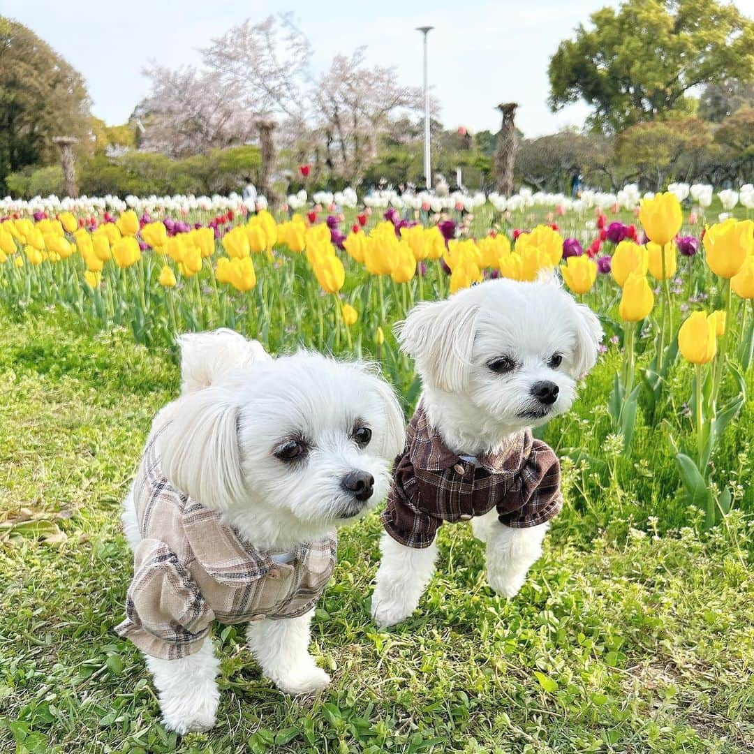 筒井愛実のインスタグラム