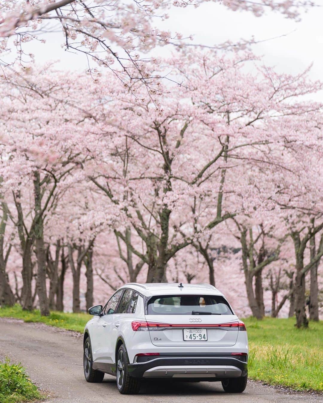 アウディ ジャパンさんのインスタグラム写真 - (アウディ ジャパンInstagram)「桜雲の中を走る一台のクルマ、Audi Q4 e-tron。 心地よい春の訪れとドライビングフィールを五感で愉しむ贅沢な時間。  *特別な許可を得て撮影しています。  #AudiQ4etron  #Audi #アウディ #アウディQ4etron #Q4 #AudiJapan #FutureIsAnAttitude #電気自動車 #EV #CarLife #CarLifeStyle #AudiLife #GermanCars #サステナビリティ #桜 #サクラ #さくら #cherryblossom #桜と愛車 #常灯ヶ峰 #大石寺 #静岡 #日本の風景 #国内旅行 #静岡ドライブ」4月4日 21時04分 - audijapan