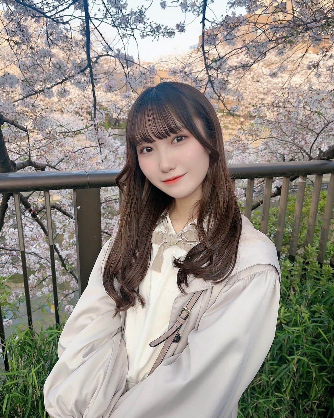 宮田有萌のインスタグラム：「お花見 .｡.:*❀  今年も目黒川の桜見れた(*´-`)  #桜 #お花見 #目黒川 #目黒川の桜 #春コーデ #春 #巻き髪 #アイドル #宮田有萌 #cherryblossom #instagood #instapic #fashion #japanesegirl #idol #패션 #코디 #오늘의코디 #코디스타그램 #옷」