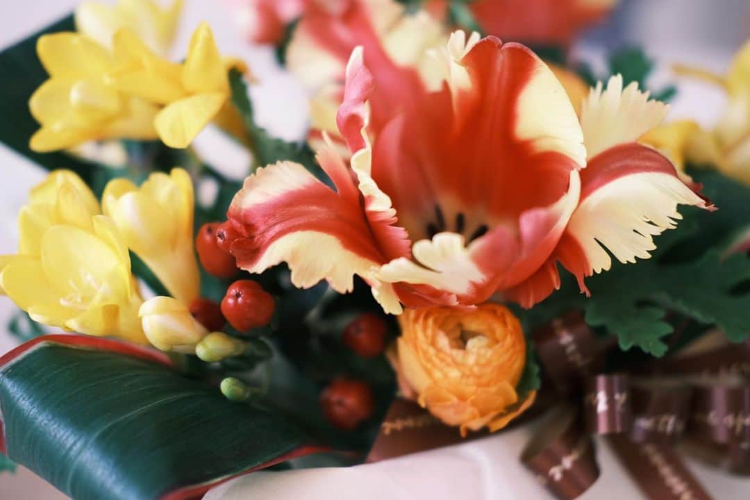 蒼木まやさんのインスタグラム写真 - (蒼木まやInstagram)「・ 母が花を送ってくれました！  イメージだからとひまわりを 送ろうとしてくれたそうですが 時期的に難しいのでこちらを🌷🌷 チューリップ、黄色、オレンジで オーダーしてくれたそうです。 ありがとう🧡💛  #mybirthday  #富士フイルム #fujifilmphotography #fujifilmxe4」4月4日 21時18分 - maya_aoki_
