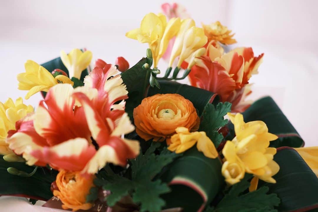 蒼木まやのインスタグラム：「・ 母が花を送ってくれました！  イメージだからとひまわりを 送ろうとしてくれたそうですが 時期的に難しいのでこちらを🌷🌷 チューリップ、黄色、オレンジで オーダーしてくれたそうです。 ありがとう🧡💛  #mybirthday  #富士フイルム #fujifilmphotography #fujifilmxe4」