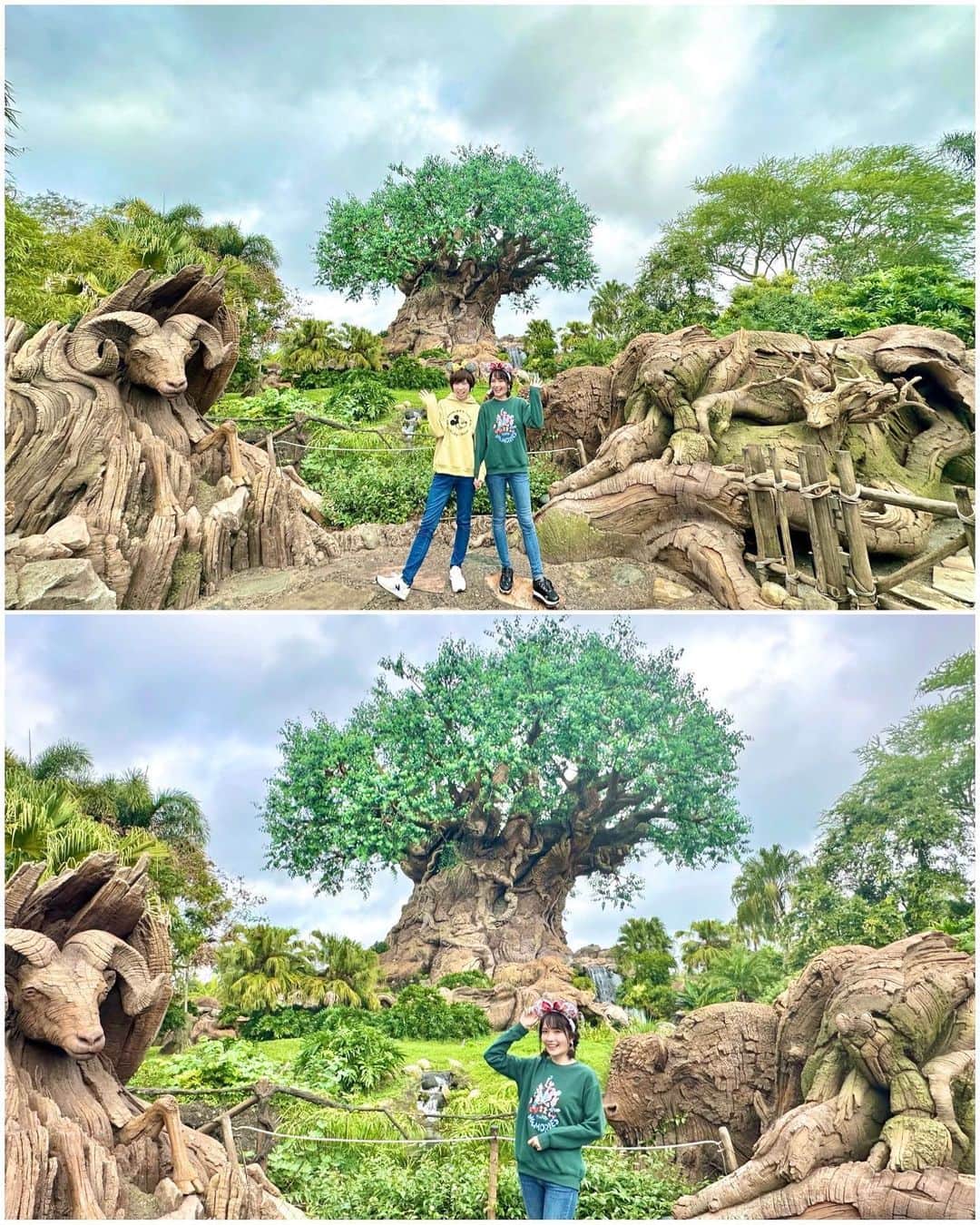 浅井麻里さんのインスタグラム写真 - (浅井麻里Instagram)「🌳WDW✨アニマルキングダム🌳 ⁡ Walt Disney Worldの、 アニマルキングダムのシンボル✨🌳 ツリー・オブ・ライフの前での浅井姉妹写真📸💕 ⁡ とっても大きな木で、 インパしてこれが見えてくると アニマルキングダムに来たー！ってテンション上がる❤️ ⁡ わたし達の横にもこっそり動物がいるんだけど、 (これは横の写真がわかりやすいかも) 木の幹のところにもいろんな動物が隠れてるの！ 3枚目の写真、木をアップにして見てみてー♬🌳 ⁡ 夜はこのツリー・オブ・ライフの、 プロジェクション・マッピングのショーが観られるよ✨ 木に映像が投影されるってとっても不思議で、 ほんとに木が生きてるみたいに感じられて さすが大自然のアニマルキングダム…！って圧巻❤️🥹 (その動画もまた今度のせるー！) ⁡ ⁡ #ディズニーワールド #アニマルキングダム #ツリーオブライフ #海外パーク #ウォルトディズニーワールド #フロリダディズニー #海外ディズニー #wdw #waltdisneyworld #フロリダ #オーランド #ディズニーコーデ #海外旅行 #ライオンキング #ディズニーフォトスポット #ディズニーフォト #アメリカ旅行 #ディズニー旅行 #disneypark #disneyparks #animalkingdom #disneyworld #waltdisneyworldflorida #waltdisneyworldresorts #wdwomari」4月4日 21時12分 - mari_asai_625