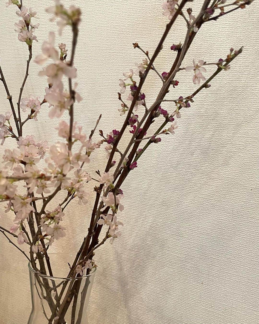 古田愛理さんのインスタグラム写真 - (古田愛理Instagram)「日常の切り取り✂️」4月4日 21時13分 - airi_furuta