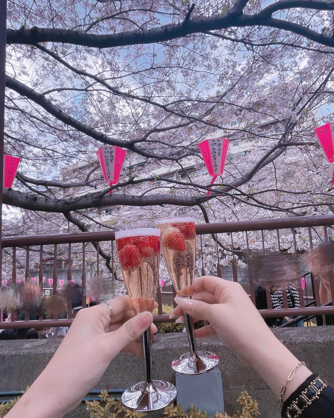 ちあきんぐさんのインスタグラム写真 - (ちあきんぐInstagram)「桜が1番すき🌸🍓🥂🩷  setup @selectshop.siriusblue  #cherryblossom#sakura#桜#お花見 #ぱっつん#黒髪ぱっつん」4月4日 21時14分 - chiaki_ing