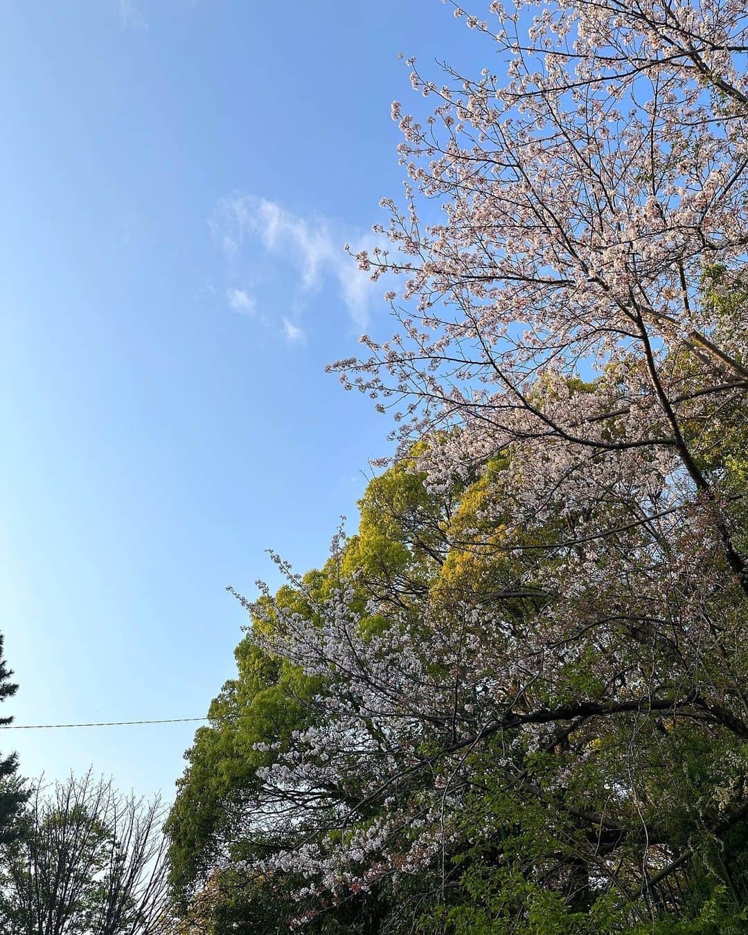 坂美来乃さんのインスタグラム写真 - (坂美来乃Instagram)「🌿👖❤️」4月4日 21時15分 - rockbq69