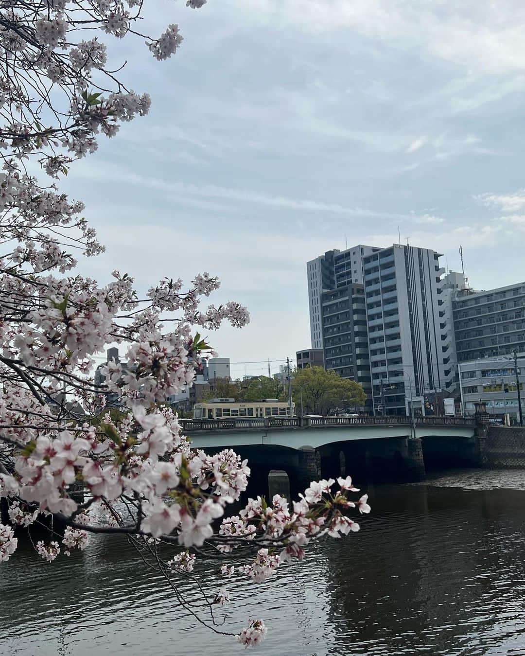高橋壮也さんのインスタグラム写真 - (高橋壮也Instagram)「入学式でした。 春ですね🌸 地道にコツコツと✍️」4月4日 21時18分 - soya.takahashi3
