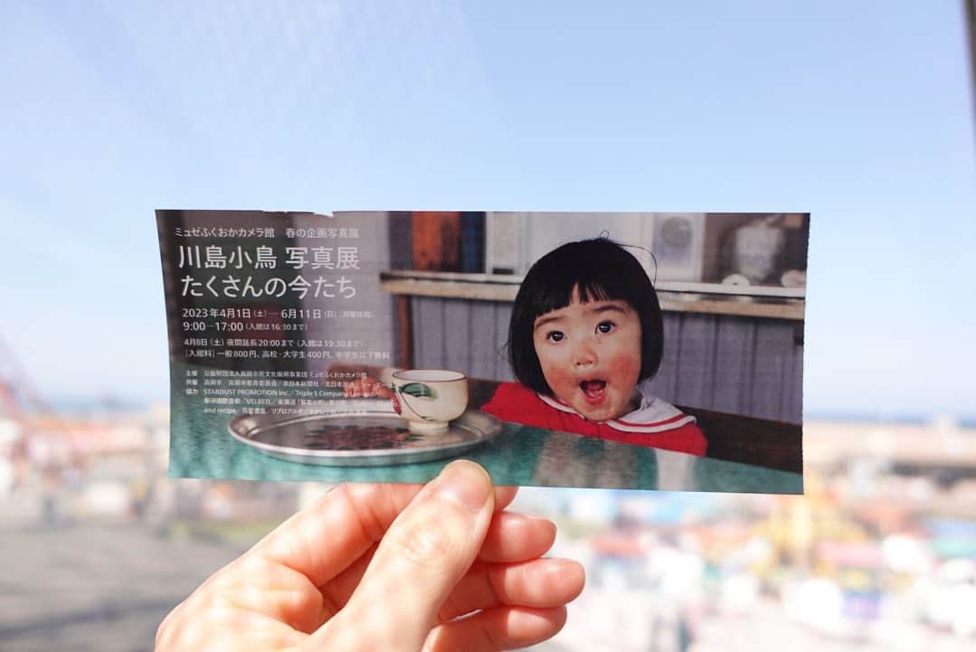 臼田あさ美のインスタグラム：「川島小鳥さんの写真展 『たくさんの今たち』へ🐣  生命力に満ちていて、じわーっと元気が出た🙌🏻🔥わたしも、生き生きと今をたくさん生きたい！そんな気持ち🙃❤️‍🔥  富山県は桜が満開だった。どこを通っても光や景色が美しかった🤳🏻✨  #たくさんの今たち」