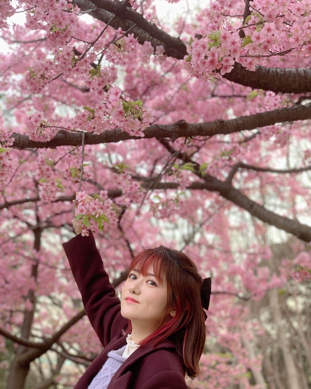 AIMIのインスタグラム：「さくら　ひらひら　散りゆく〜♪🌸  ブログがお休みになった インプットを広げていきたいです☻桜はいいよねー🌸４月だ🌸  #AIMI#ohellorecords#Sakura#Tokyo #April#pink#満開」