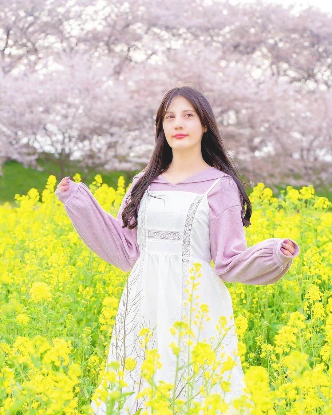 大濠ハンナのインスタグラム：「今年も沢山お花畑行くよ🌸🌷  #菜の花#お花畑 #菜の花畑 #桜#flower #春 #自然 #きれい #ポートレート #ぽかぽか #春がすき #お花の季節 #おはなみ #おはなみさんぽ #お散歩 #日本の絶景 #日本 #japan #さくら #なのはな」