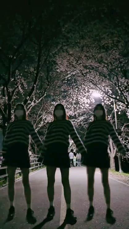 우~~사기다のインスタグラム：「혼자 잘 놀아요 !」