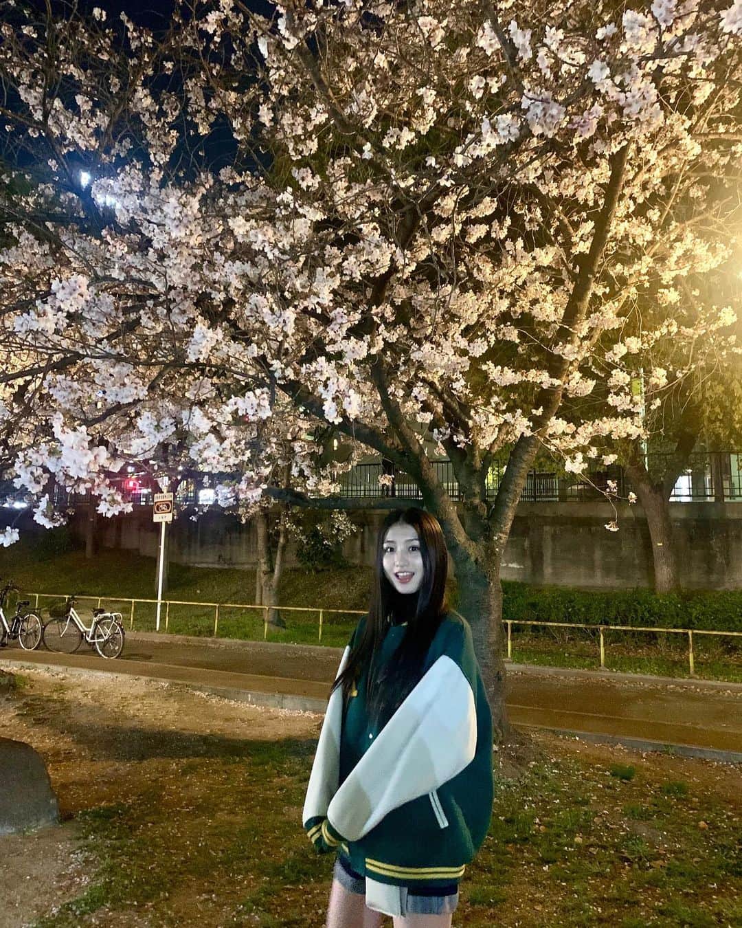 塩月希依音さんのインスタグラム写真 - (塩月希依音Instagram)「夜桜🌸  #桜#夜桜#cherryblossom #spring #ljk #jk #05#05년생 #05line」4月4日 22時28分 - keito.shiotsuki