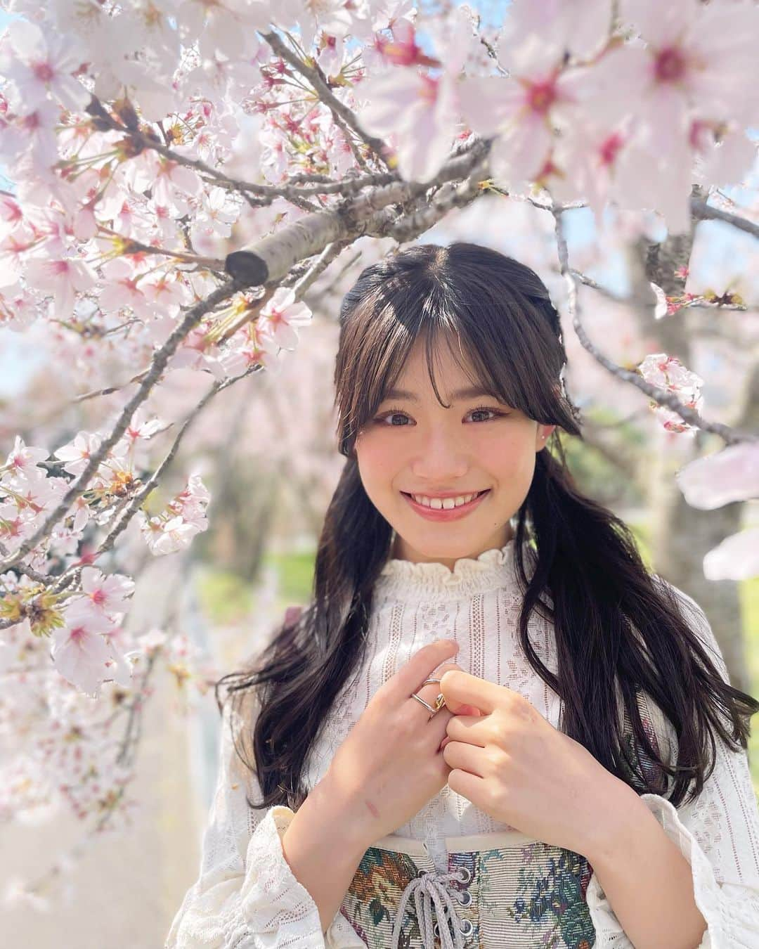 平日菜向のインスタグラム：「Sakura🌸🍒🌸🍒」