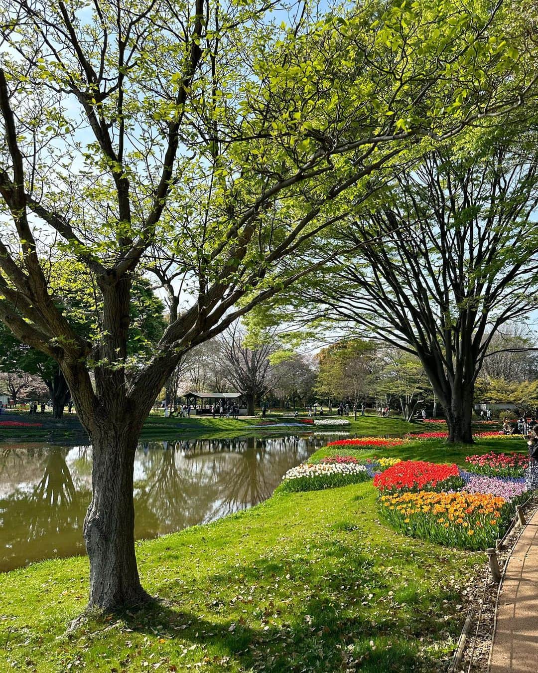 計良日向子（ひなひ）さんのインスタグラム写真 - (計良日向子（ひなひ）Instagram)「. . 昭和記念公園に行ったら チューリップとっても綺麗だった🌷💞 . . . どこ切り取っても可愛くて可愛くて💕 平日ってこともあってそんなに 混雑もしてなくてゆっくりできた♡ 桜もまだ咲いてたよ🌸 . . . 4月になったのでネイルも春ぽく イエローにしたよ🌼💛 イエローとシルバーのキラキラが可愛い🫶 1番最後に載せてるから見てね🤍 @raviy31 . . . . 👗ワンピース　@honeymihoney_official . 👜バッグ　@shein_japan . . . . #昭和記念公園 #チューリップ #チューリップ畑 #お花畑 #お花畑コーデ #花のある風景 #honeymihoney #ハニーミーハニー #ひなひネイル #韓国ネイル #中国ネイル」4月4日 22時32分 - kerahinako1105