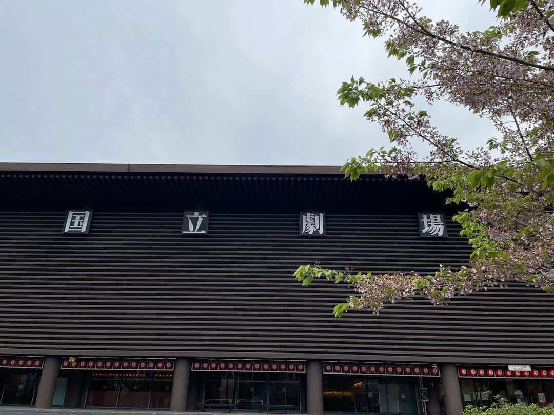 桜咲彩花のインスタグラム：「4月となりましたね。早い！ 先日、国立劇場稽古場での稽古でした。 人生何が起こるか分からないなという世界の中で、 導いて下さる先生や行く先々で出逢う人の優しさに心救われています。  次、ここに来る時は本番なのだと！ （と思い投稿しようと思ってからもう数日）  お申し込み頂きました皆さま、 行けないけれどとお手紙送って下さいました皆さま、 改めていつも本当にありがとうございます。 お心、とても嬉しいです！  今の自分ができることを。 大切に表現したいと思います」