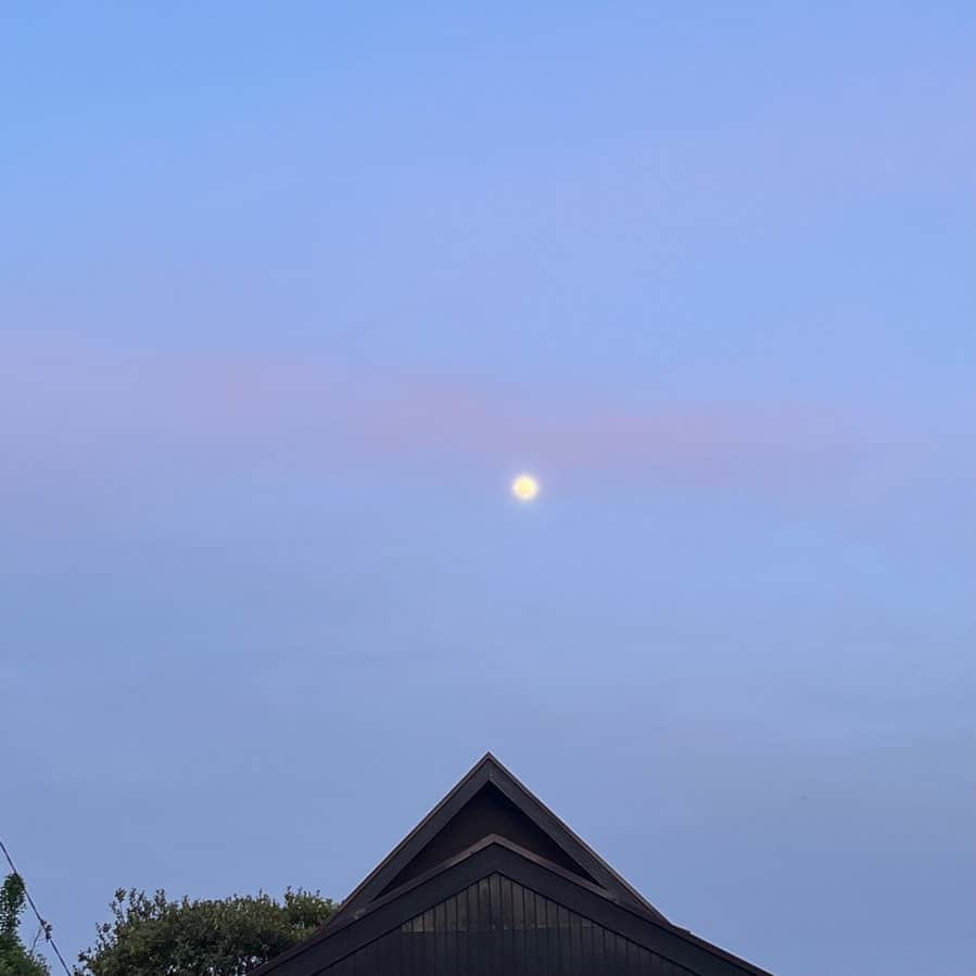 クリス智子さんのインスタグラム写真 - (クリス智子Instagram)「夕暮れどき、いい月がみられました。  おやすみなさい。」4月4日 22時35分 - chris_tomoko