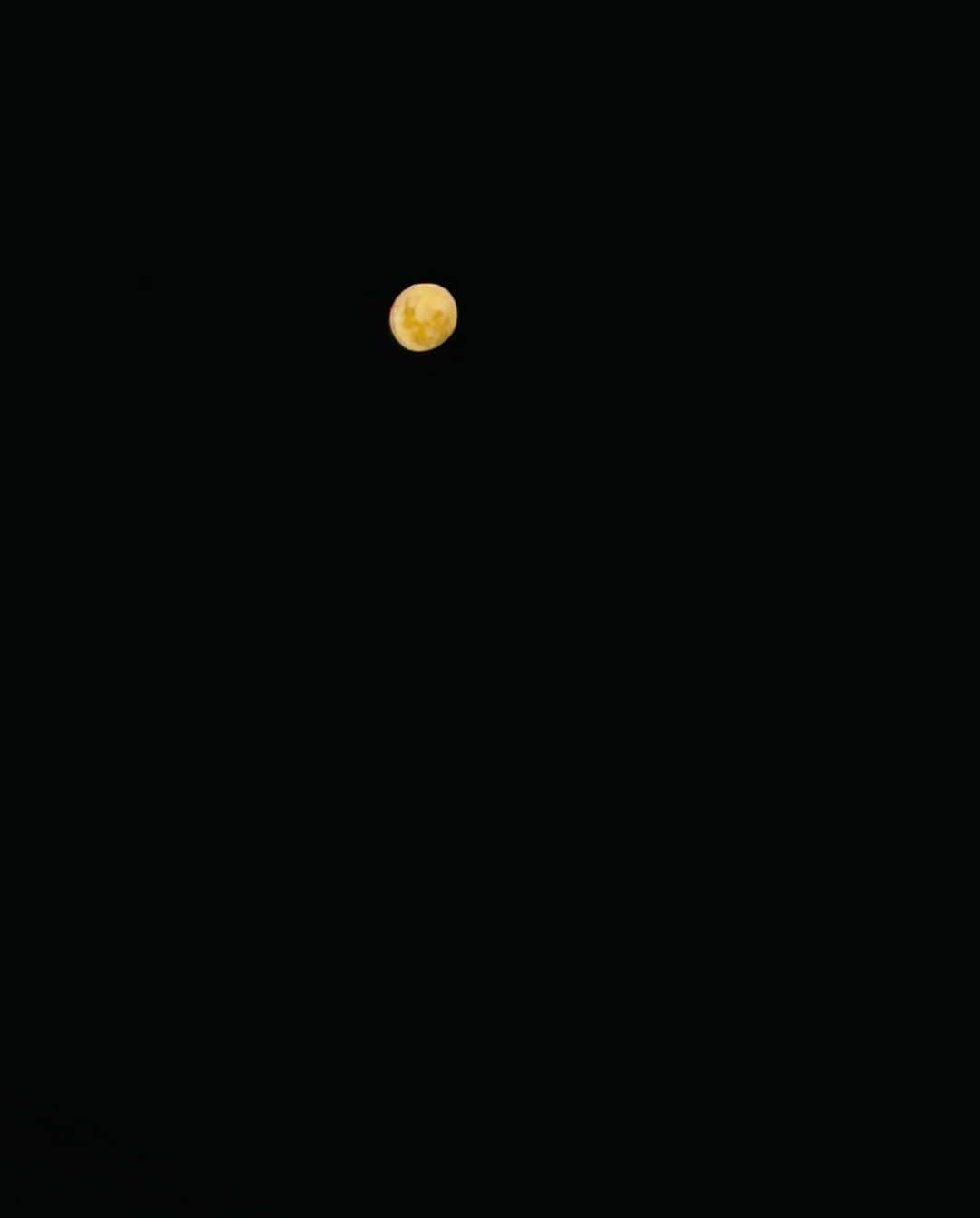 Wanda Grandiさんのインスタグラム写真 - (Wanda GrandiInstagram)「Sobre a noite de ontem 🤍 Desfile lindo, com propósito, leveza, cores, diversidade e inclusão. E de presente essa lua cheia para fechar a noite! Parabéns @eduardoamarante #minhasraizes #vivaobrasil」4月4日 22時39分 - wangrandi