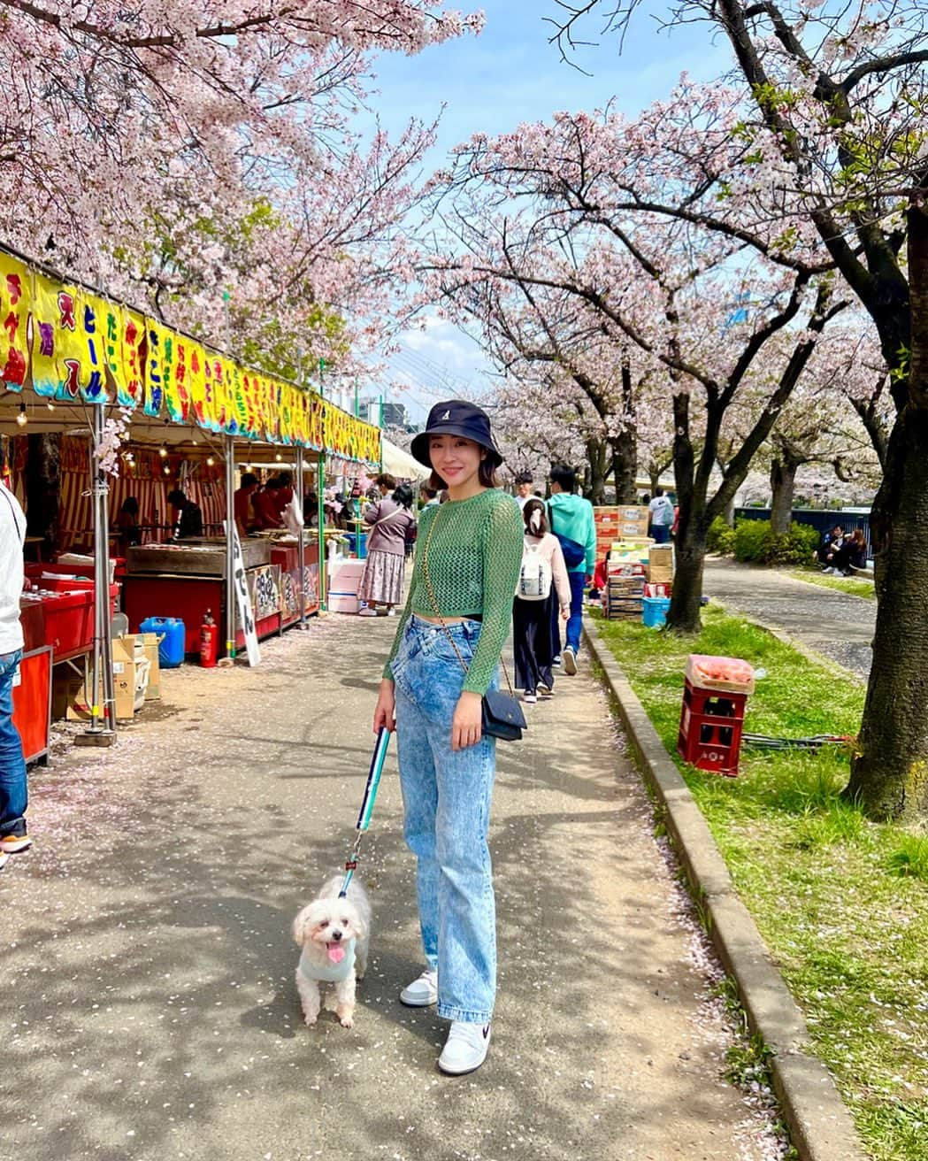 七菜香のインスタグラム：「𝚂 𝙰 𝙺 𝚄 𝚁 𝙰 .🌸  𝚠𝚒𝚝𝚑 🐶♡  しつけ用のリードデビューしたラキボーイ. 短いリードで可哀想だと思って 一度断念していたけど、 ダメだよって教えてあげることで 苦手なワンちゃんに吠えてしまう回数も減り 走り出しそうになる回数も少なくなって お互いにストレスが減った気がする🥹 犬に吠えなかったり、良い子で横をお散歩してたら 必要以上に笑顔で顔くしゃくしゃに褒めてあげると ほんとにたまらん可愛い顔を返してくれる🥹💕 ほんとにいい子だラキさん🐶🌸  春は日中のお散歩が楽しいからいいね♪  #sakura #springflowers #spring #cherryblossom #japaneseculture #hanami #osakajapan #dogmom #maltese #malteselovers #ootdfashion #お花見 #毛馬桜ノ宮公園 #大阪観光スポット #いぬのいる暮らし #マルチーズ #春コーデ #ママモデル #女の子ママ #🌸」