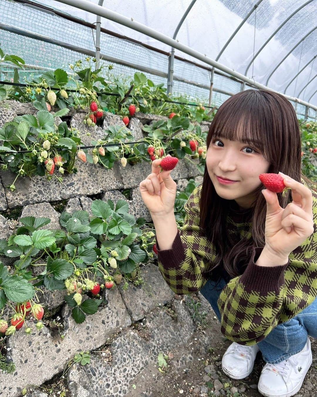 ゆわのインスタグラム：「.  少し前にいちご狩り行きました🍓」