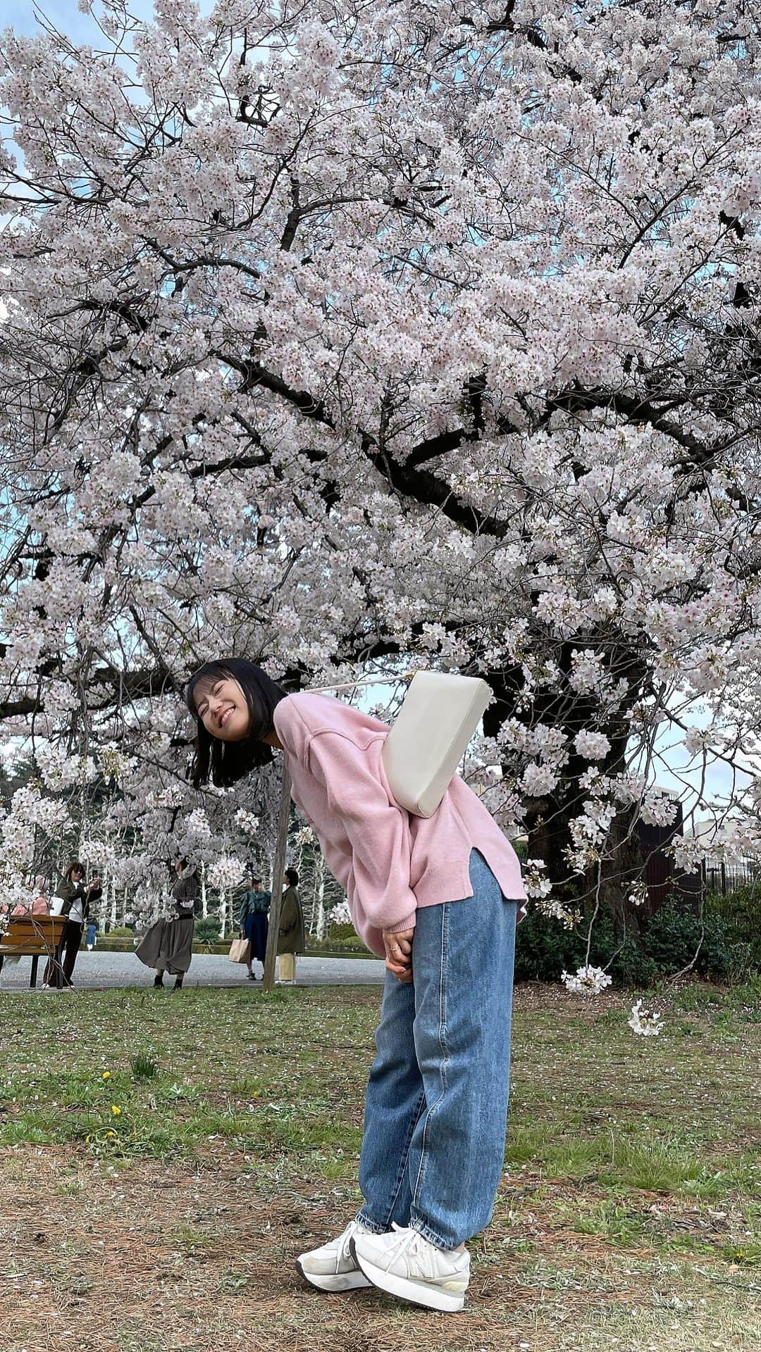 涼掛凛のインスタグラム：「🌸  . . . . . . . #さくら #桜 #お花見 #花見 #cherryblossom #sakura  #桜スポット #花見スポット #お花見散歩 #お花見スポット #新宿御苑 #お花見コーデ #ピンクニット #ピンクニットコーデ #ニットコーデ #春コーデ #ピクニックコーデ #パンツコーデ #低身長コーデ #低身長ファッション #低身長女子 #スニーカーコーデ #デニムコーデ #春服コーデ  #黒髪ミディアム #ミディアムヘア #公園コーデ #ピンクコーデ #お花見デート #彼女感」