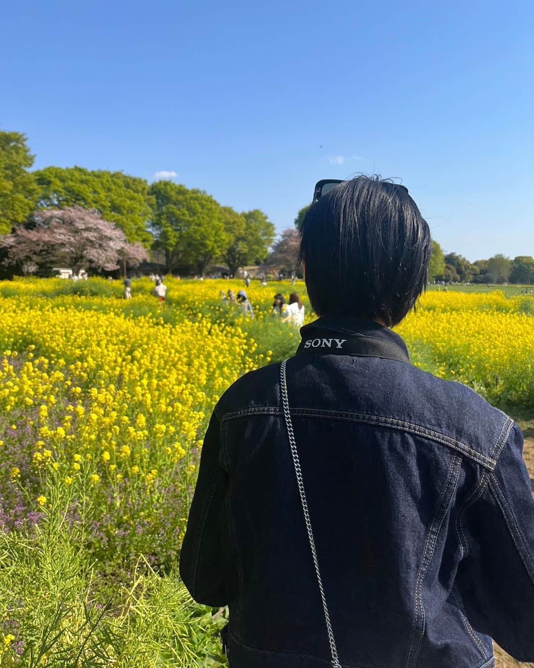 のインスタグラム：「何気ない景色をファインダーを通すと 全く違見えるのです。 ⠀ そんな私が見た世界を少しだけお届けしますね。 ⠀  ⠀ その人の生き様は顔に出ます。  自分は自分 他人は他人 十人十色です。  私は自分が生きたいように生きるし 他人に関係はないの。  他人の目を気にして後悔するぐらいなら 挑戦して後悔する方のがいいわよ。  ⠀  他人を下げることでしか、自分を保てない そんな人間にはならないでほしいな ⠀  明日も一緒に頑張りましょう いい夢見てね」