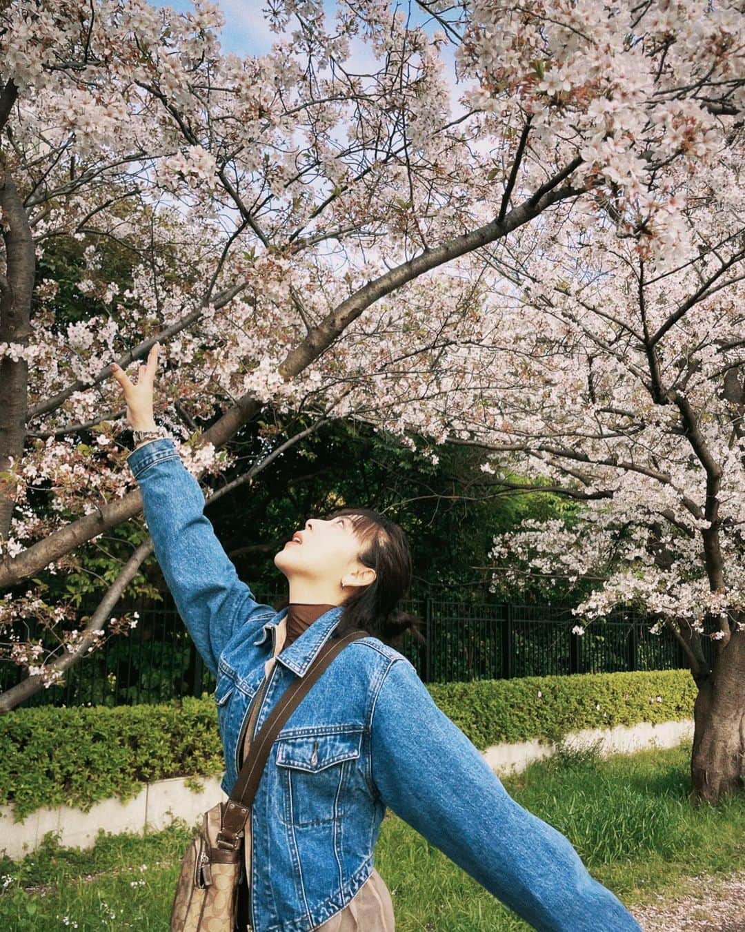 EOWさんのインスタグラム写真 - (EOWInstagram)「ギリ間に合った〜  わたし本名が桜子なので この世の花の中でも桜のことは かなり贔屓してます  いっっっっちばん、良い  今年もちゃんと咲いたな〜 毎年ちゃんと咲くのすごいな〜 絶対咲くもんな〜  どんっと大きく堂々と 桜の木みたいに生きたいもんです」4月4日 23時15分 - laco_eow
