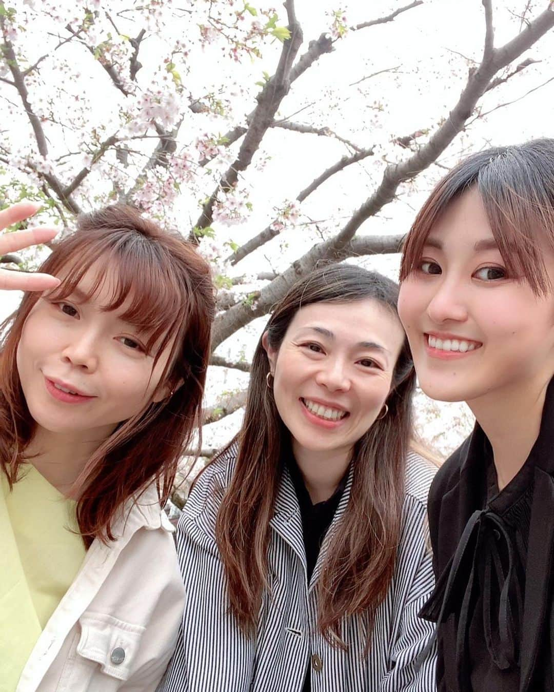 ヨーコのインスタグラム：「🌸  散る前になんとか間に合った✨  ニセAKB仲間と移動中に花見！  誰が誰だかわかるかなー？🤭  #ニセAKB #お花見 #花見 #桜 #🌸 #ニセぱるる #ニセ珠理奈 #ニセあっちゃん」