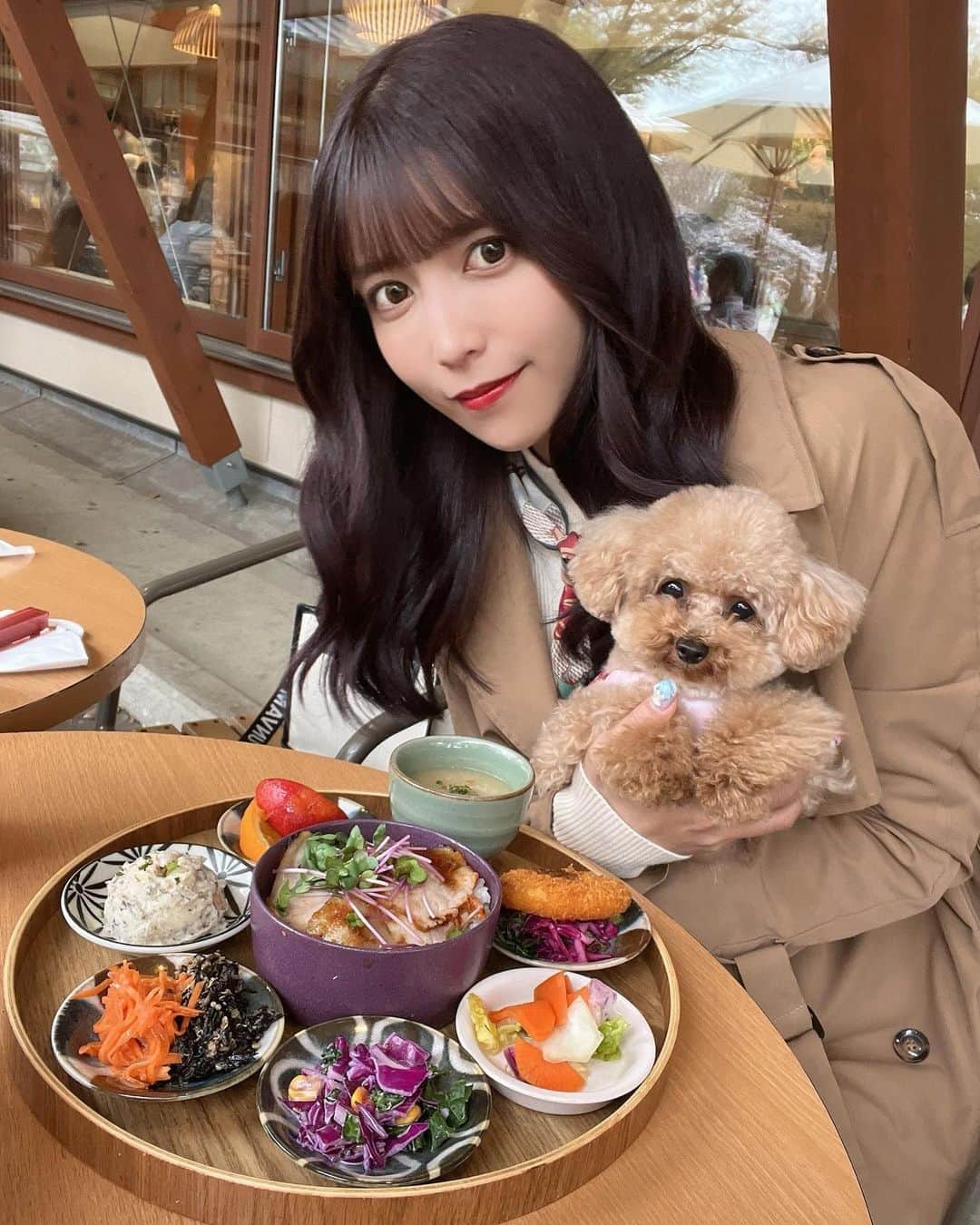 のインスタグラム：「ぷぷちゃんと上野公園でお花見 散歩してテラスでカフェランチ🐶  ぷぷも一緒に行けるし ワンちゃんいっぱい連れてる方いて ご飯もおいしかったああ🥳💕」