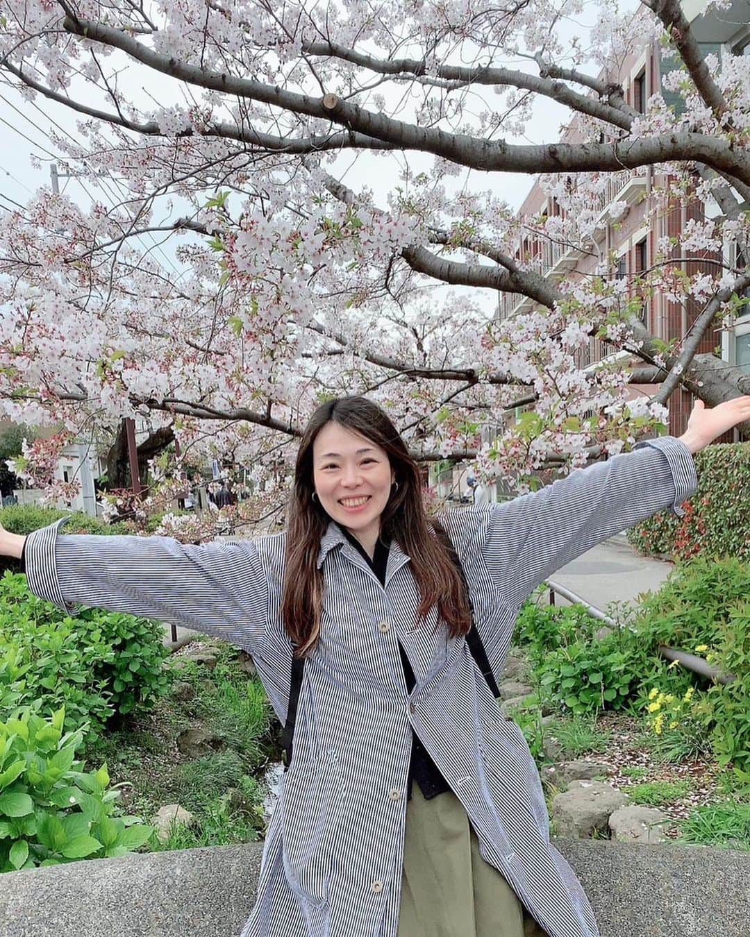 ヨーコさんのインスタグラム写真 - (ヨーコInstagram)「🌸  写真と思ったら動画だったw  カメラマン @milkapill   この場所の桜がすきで、20年以上前から私のお気に入り花見スポット😎  みんなもお花見したかな？ 東北はこれからだよね☺️  あまちゃんの再放送も始まったし岩手が恋しくなる💓  #花見 #花見スポット #cherryblossom #桜 #🌸」4月4日 23時30分 - y0k0_1108