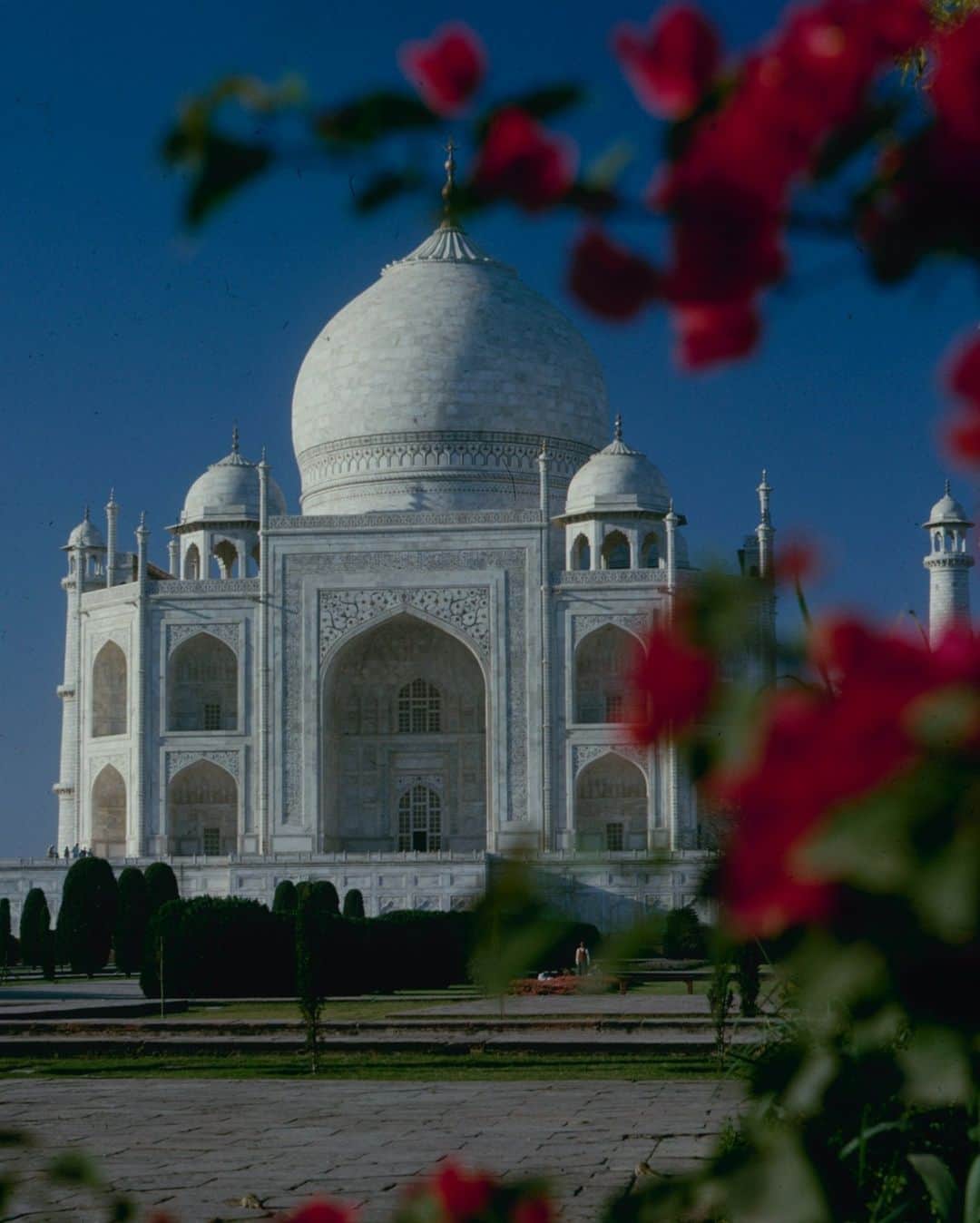 lifeのインスタグラム：「Colorful view of the Taj Mahal, India, 1963.   The Taj Mahal was built starting in 1632 by Shah Jahan as a memorial to his wife. Today, it is listed as one of the new Seven Wonders of the World.   Many LIFE photographers have captured the seven spectacular sites, and by clicking the link in bio you will find more images from the dynamic destinations.   (📷 Alfred Eisenstaedt/LIFE Picture Collection)   #LIFEMagazine #LIFEArchive #AlfredEisenstaedt #TajMahal #SevenWondersoftheWorld #India #Destinations #TraveltheWorld #1930s」