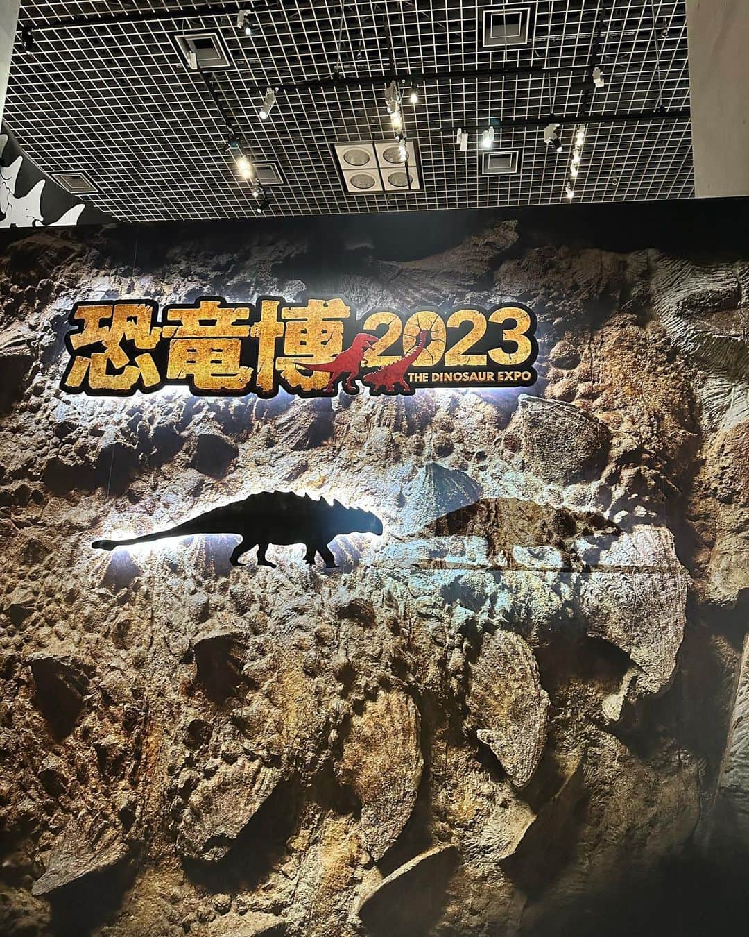 釈由美子さんのインスタグラム写真 - (釈由美子Instagram)「春休み最後の思い出に 上野の国立科学博物館へ 息子とふたりで遊びに行ってきました。  ずっと息子が行きたがっていた 『恐竜博2023』🦖🦕  NHKスペシャル 「恐竜超世界2 」前編後編 を何度も観て予習したばかりだったので  新種のマイプやズールの実物化石に胸熱🔥で大興奮‼️ 😍😂🤩✨  音声ガイドを聞きながら 何やらメモを取ったり📝  食い入るように化石をみつめて 微動だにしない姿は  すっかり小学生の顔でした🧐🌱  息子から出された恐竜クイズは1問も答えられなかったです🤯  カハクの入り口に咲いていた最後の桜🌸を愛でながら  幼稚園生でも 小学生でもない  なんとも愛おしく切ないこの瞬間をぎゅっと抱きしめた。。  🥹  #うまく言葉にできないぶん #最近やけに涙脆い。  #国立科学博物館 #カハク #恐竜展2023 #せっかく上野まで来たから #上野動物園も寄りたかったのに #時間なさすぎた #カハクLOVEの息子 #何度行っても飽きないらしい」4月4日 23時31分 - yumikoshaku