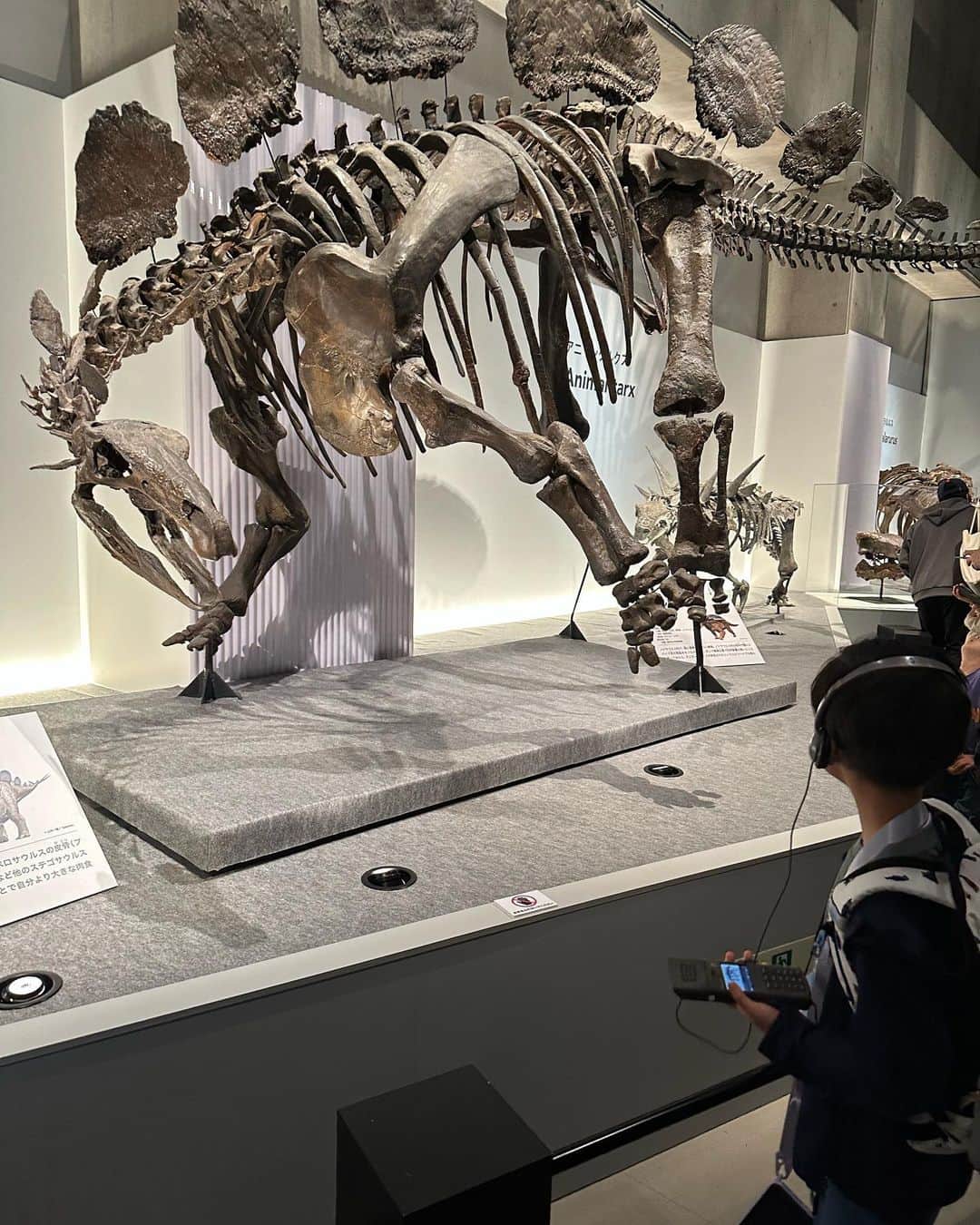 釈由美子さんのインスタグラム写真 - (釈由美子Instagram)「春休み最後の思い出に 上野の国立科学博物館へ 息子とふたりで遊びに行ってきました。  ずっと息子が行きたがっていた 『恐竜博2023』🦖🦕  NHKスペシャル 「恐竜超世界2 」前編後編 を何度も観て予習したばかりだったので  新種のマイプやズールの実物化石に胸熱🔥で大興奮‼️ 😍😂🤩✨  音声ガイドを聞きながら 何やらメモを取ったり📝  食い入るように化石をみつめて 微動だにしない姿は  すっかり小学生の顔でした🧐🌱  息子から出された恐竜クイズは1問も答えられなかったです🤯  カハクの入り口に咲いていた最後の桜🌸を愛でながら  幼稚園生でも 小学生でもない  なんとも愛おしく切ないこの瞬間をぎゅっと抱きしめた。。  🥹  #うまく言葉にできないぶん #最近やけに涙脆い。  #国立科学博物館 #カハク #恐竜展2023 #せっかく上野まで来たから #上野動物園も寄りたかったのに #時間なさすぎた #カハクLOVEの息子 #何度行っても飽きないらしい」4月4日 23時31分 - yumikoshaku