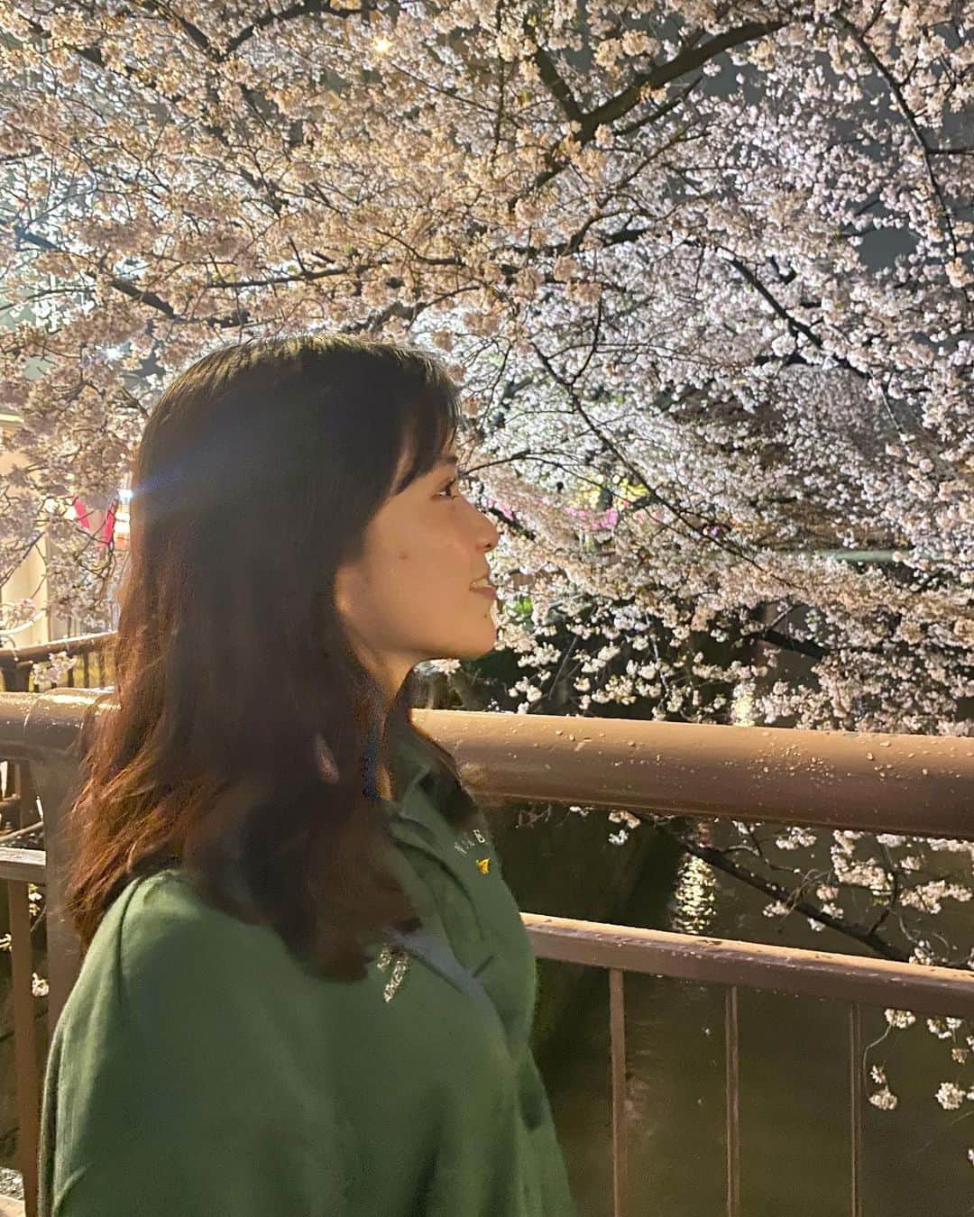 仮谷せいらさんのインスタグラム写真 - (仮谷せいらInstagram)「お仕事終わりに 中目黒の桜を見てきました🌸 雨が降った後だったけど 今年も散る前に見れてよかった☺️  咲いてるところも好きだけど ヒラヒラ舞ってるのも好きだな〜🌸🌸」4月4日 23時32分 - seira_kariya