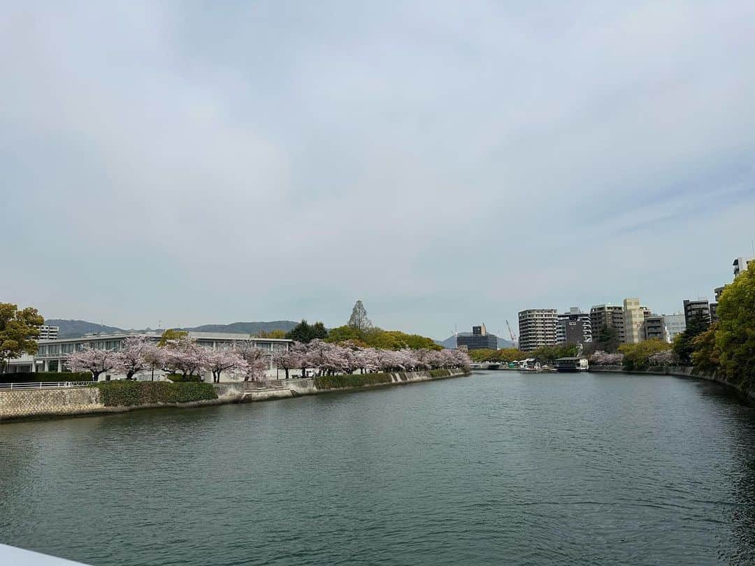 大隅智子のインスタグラム：「どこも懐かしい風景です。広島の平和公園や元安川沿いの桜、とてもきれいです！ ピークを過ぎつつあります。 #広島　#平和公園　#元安川　＃桜」