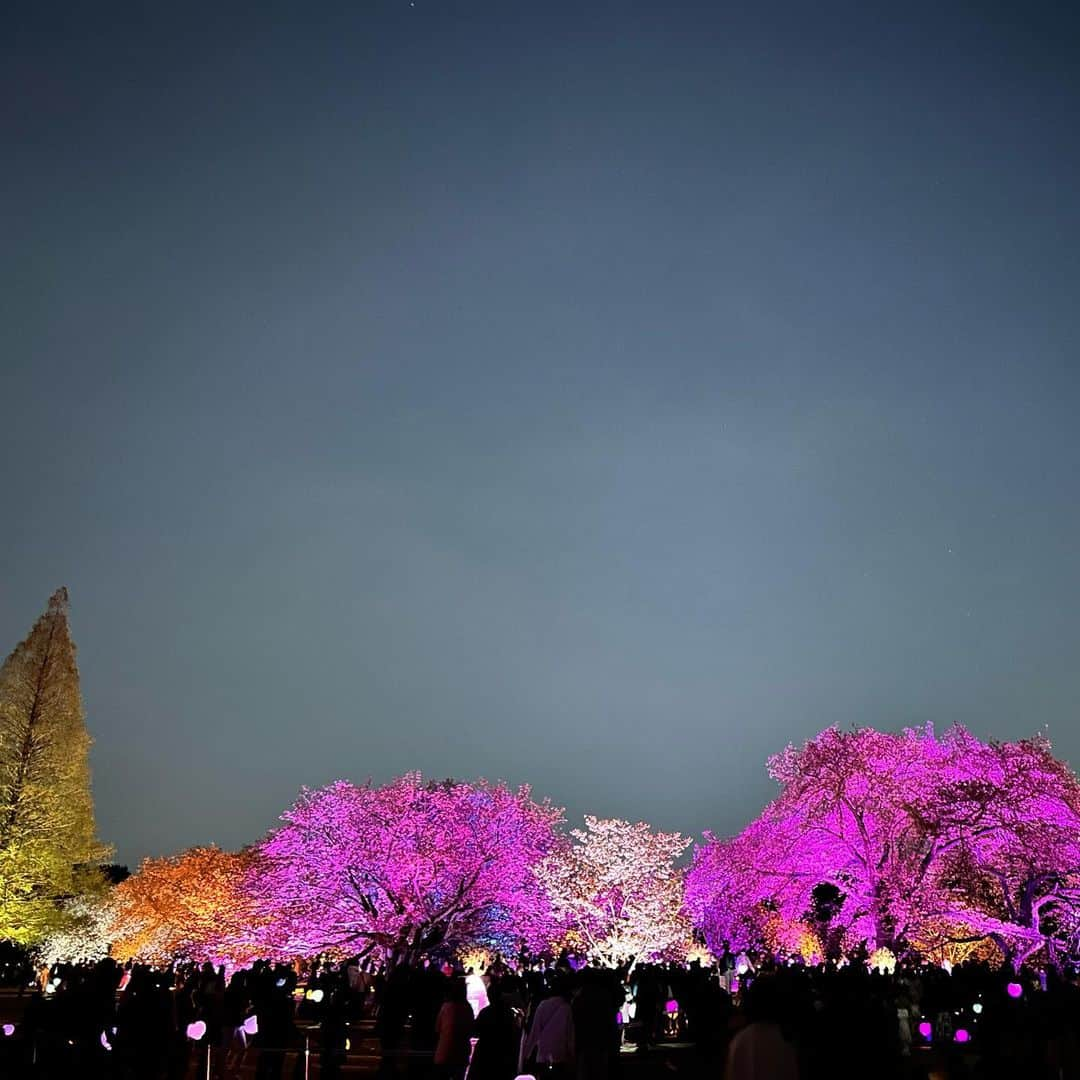 純名里沙のインスタグラム：「What a lovey SAKURA night🥹🌸  お友達が教えてくれたNAKED〜桜の新宿御苑へ行って参りました✨都会の真ん中と思えないWonder landは美しすぎました🌸✨  おしゃれな提灯を片手に☺️笑 ライトアップされた桜を巡る旅🌸✨ 素晴らしかったです‼︎  祈りのケセランパサランも飛ばして来ましたよ〜💠 入場は予約必須かと思いますがまだしばらく開催してるみたいなので、ご興味ある方は是非^ - ^おすすめ致します🌸✨ （全くお仕事と関係ないです笑）  そして昼間は久しぶりに上野、東京都美術館へも行き、ずーっと気になっていたエゴンシーレの展覧会を堪能、、🎨  お天気も良く、お天道様にも感謝の一日でした♡^ - ^✨  皆さまはどんな１日でしたか？ いい夜をお過ごしください🌙🌸  #ネイキッドインク #nakedinc #新宿御苑 #夜の桜吹雪 #最高でした #桜 #桜好き #sakura🌸 #素晴らしい照明 #アイデア #おすすめです☺️ #iphone加工なし写真  #iPhone14 #素晴らしい #月と桜の共演  #芸術の春🌸」