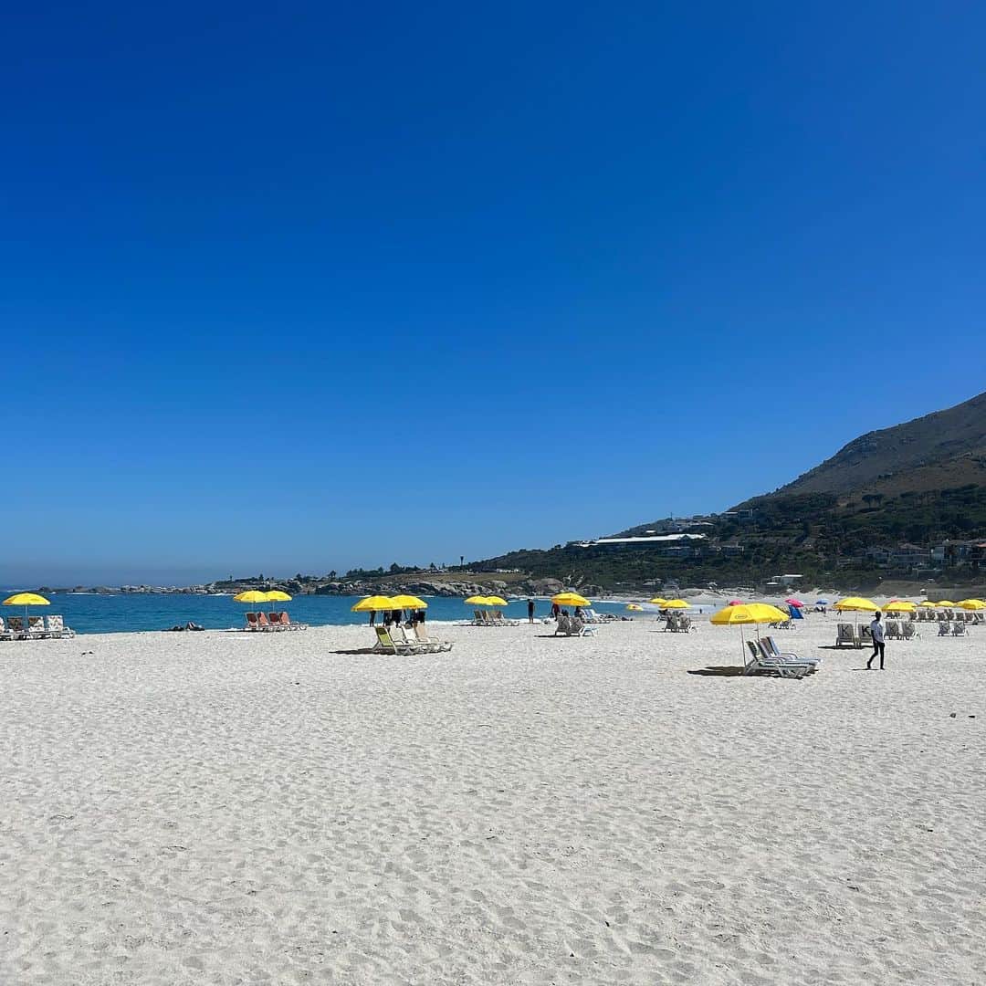 のインスタグラム：「more SA 🇿🇦🌞🌿」
