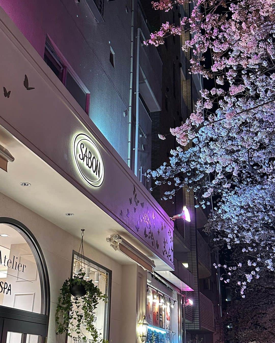 のインスタグラム：「・ ・ @sabon_japan 中目黒にあるSABONアトリエスパリニューアル一周年記念パーティーへ🌸 ・ 今回のパーティーではお花を使ったピアスの制作ができたり、新作のジャスミン・ワンダーをひと足先にお試しさせて頂きました🫧 大好きなSABONのスクラブは本当にお肌ツルンツルンになるからお友達にギフトしてるよ◡̈ ジャスミン・ワンダーの香りがすごく好みでこの香りを纏うだけで女子度上がること間違いなし！ ・ 久しぶりのお友達にも会えたし、 桜満開の店内でお花見気分を堪能して楽しませて頂きました🌸 ・ スパ専用ルームもすごく素敵だったから、何か自分へのご褒美があった時に予約するんだー♥︎ ・ ・ #sabon #サボン #sabonジャスミンワンダー #sabon2つのジャスミン#サボンアトリエスパ」